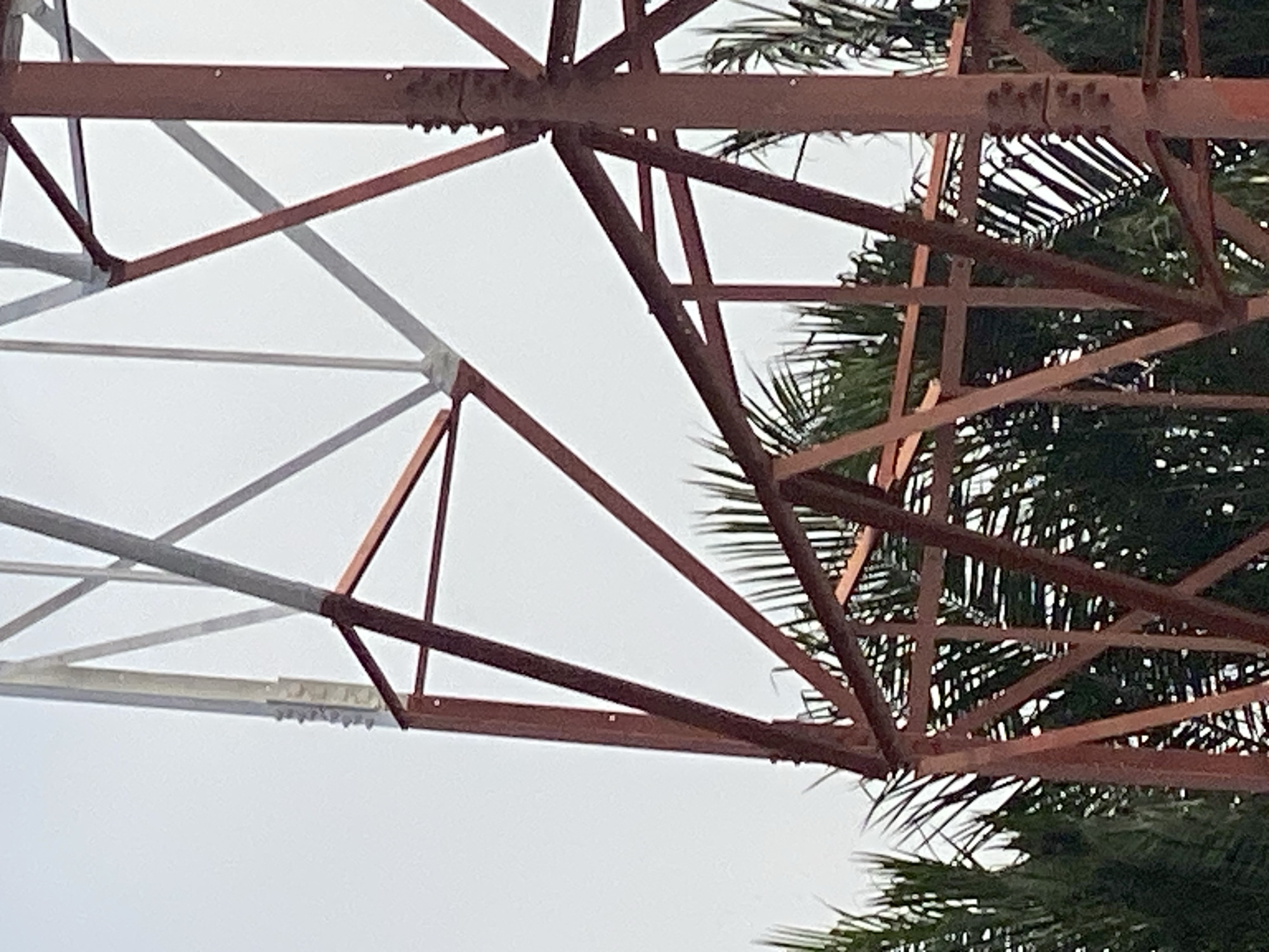 The image shows a close-up view of the lattice structure of a telecommunications tower against a bright sky. The tower is made of weathered, reddish-brown metal beams, forming a complex geometric pattern. Some of the beams are joined by bolts. Partially visible through the latticework are the fronds of palm trees, suggesting a tropical or sub-tropical environment. The scene is likely located in Jalingo, Nigeria, given the context of the request. There are no people visible in the image. The lighting suggests it is daytime.