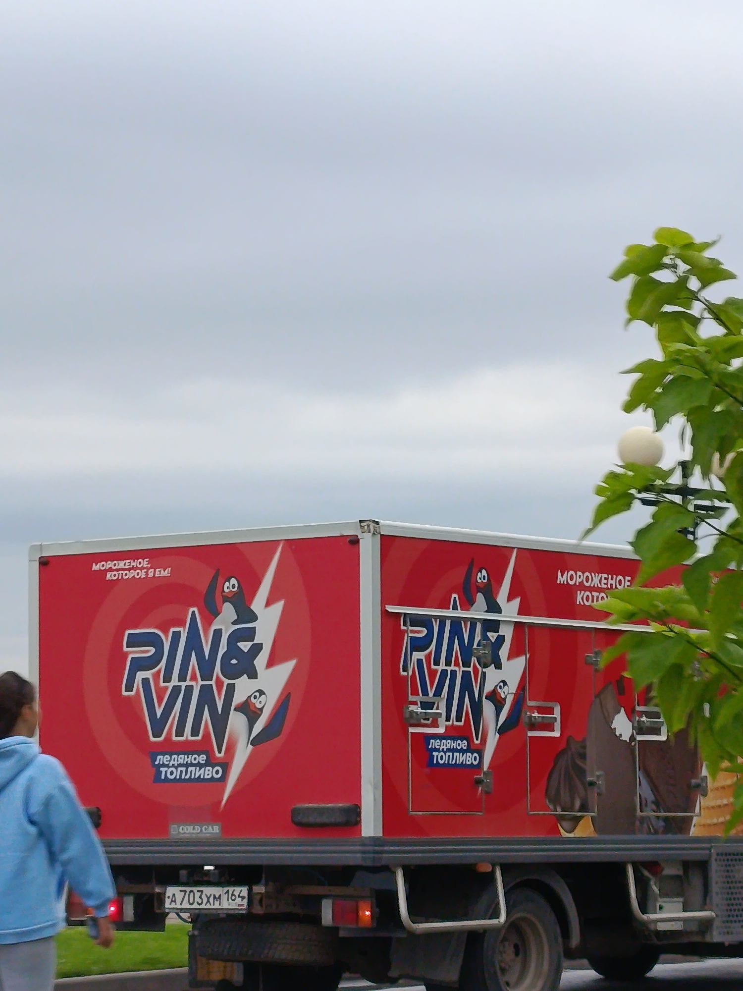 A red refrigerated truck with "PIN&VIN" and "ICE FUEL" branding is parked on a street. A young woman in a blue hoodie walks away from the truck. The license plate of the truck reads "A703XM 164". The sky is overcast, and green foliage is visible in the foreground. The scene appears to be in Voskresensky District, Russia.