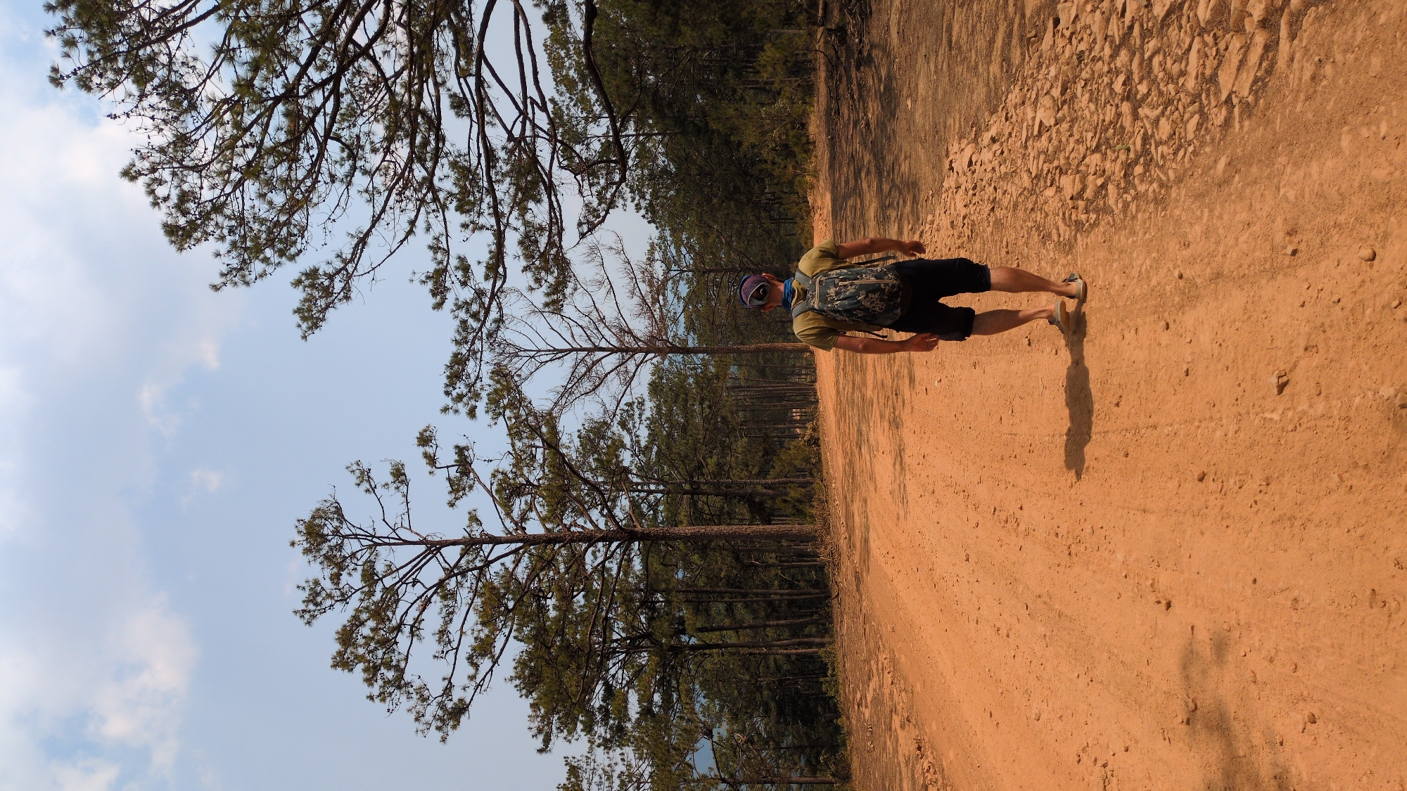 A man with a backpack and head covering walks along a reddish-brown dirt road in Lang Biang - Da Lat, Vietnam. The road is flanked by tall pine trees on one side, and on the other side, the sky is visible through the trees. The ground appears to be dry and dusty. The man's shadow is cast onto the road.