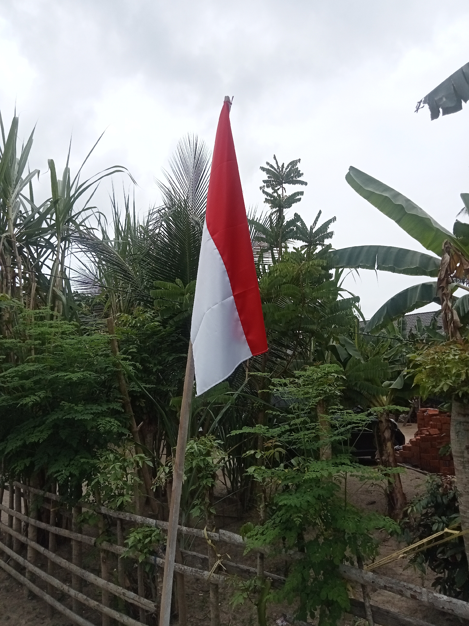 In Singgahmata, Indonesia, a red and white Indonesian flag is displayed on a wooden pole, its fabric taut against an overcast sky. The flag is positioned in the foreground, with lush green foliage surrounding it. Various trees and plants, including what appears to be sugar cane and banana leaves, create a dense backdrop. A rustic wooden fence runs horizontally across the lower portion of the image, separating the immediate foreground from the background vegetation. In the distance, a pile of bricks and a partially visible structure suggest human activity or construction. The overall environment is natural and rural, with no people visible in the scene.