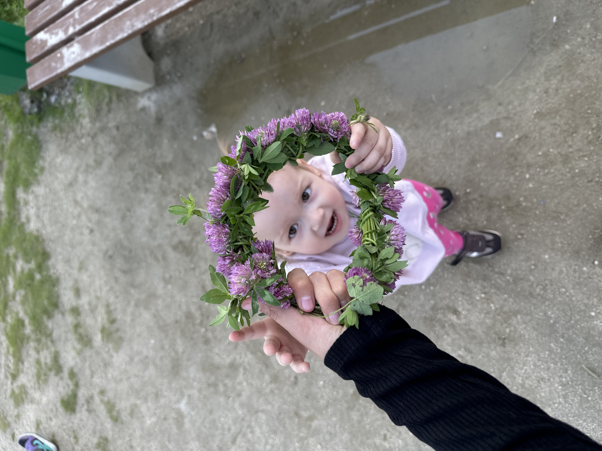 In this overhead shot, a young child is joyfully holding a crown made of clover flowers and green leaves. The child, with bright eyes and a wide smile, is looking up at the camera, clearly delighted with the floral accessory. The crown is being held up by two sets of hands, one belonging to the child and another adult's hand, suggesting a moment of shared play or a gift being presented. The child is wearing a light-colored top and pink patterned pants, paired with dark sneakers.
The scene appears to be outdoors on a somewhat overcast day, given the diffused light. The ground is a mix of gravel and damp patches, possibly indicating recent rain. In the background, a portion of a wooden bench with a green metal leg is visible, suggesting a park or a similar public outdoor space. The presence of puddles or wet surfaces on the ground also hints at wet weather. The overall mood is one of happiness and innocent childhood joy. While the location context is Yekaterinburg, Russia, there are no explicit text elements in the image to confirm this.