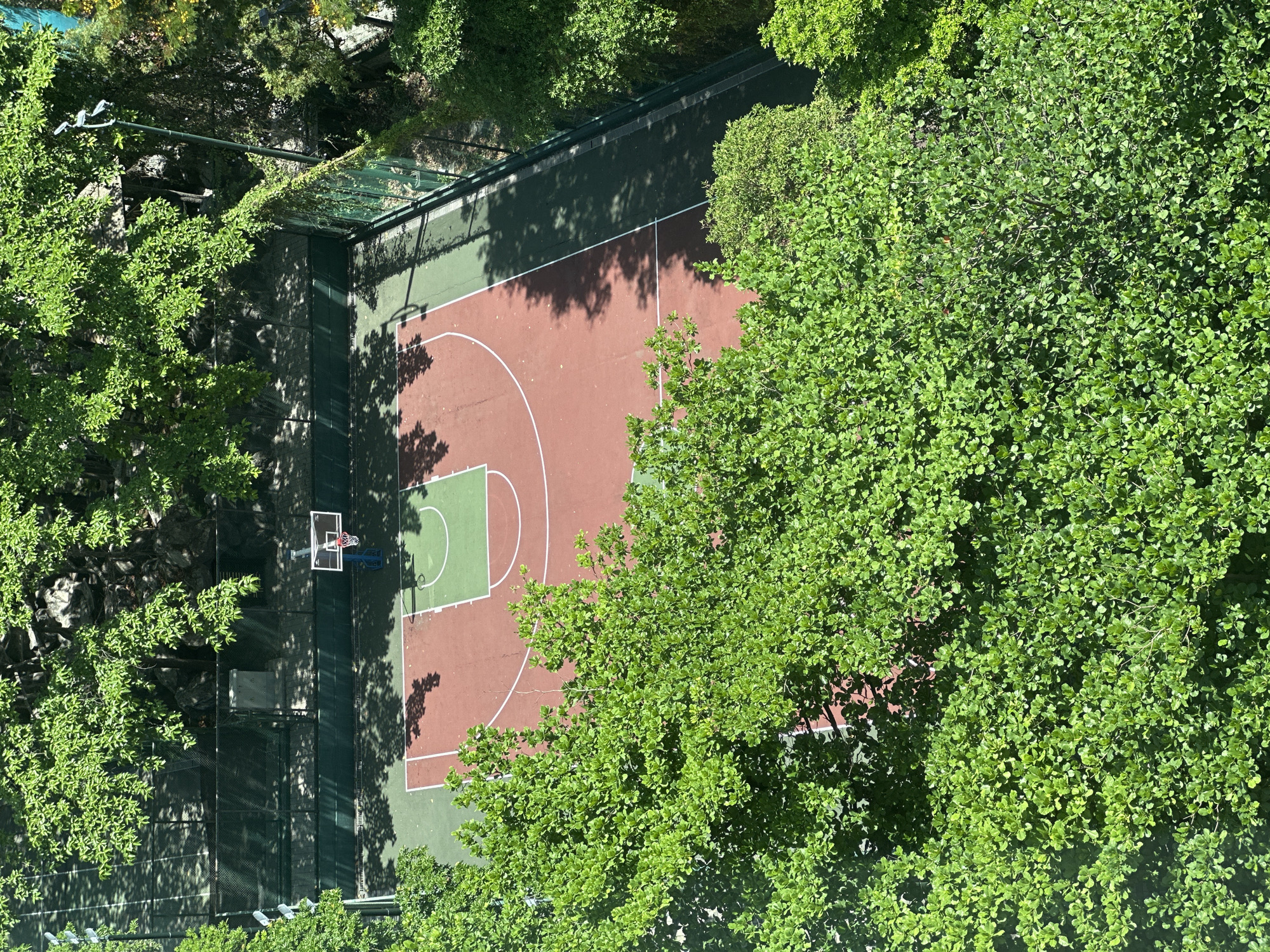The image shows a basketball court viewed from above, partially obscured by trees. The court has a brown-red central area and green end zones. One basketball hoop is visible on the left side of the court, with a net. The court is surrounded by a dark green perimeter and a fence. The location of the scene is not revealed by this image.