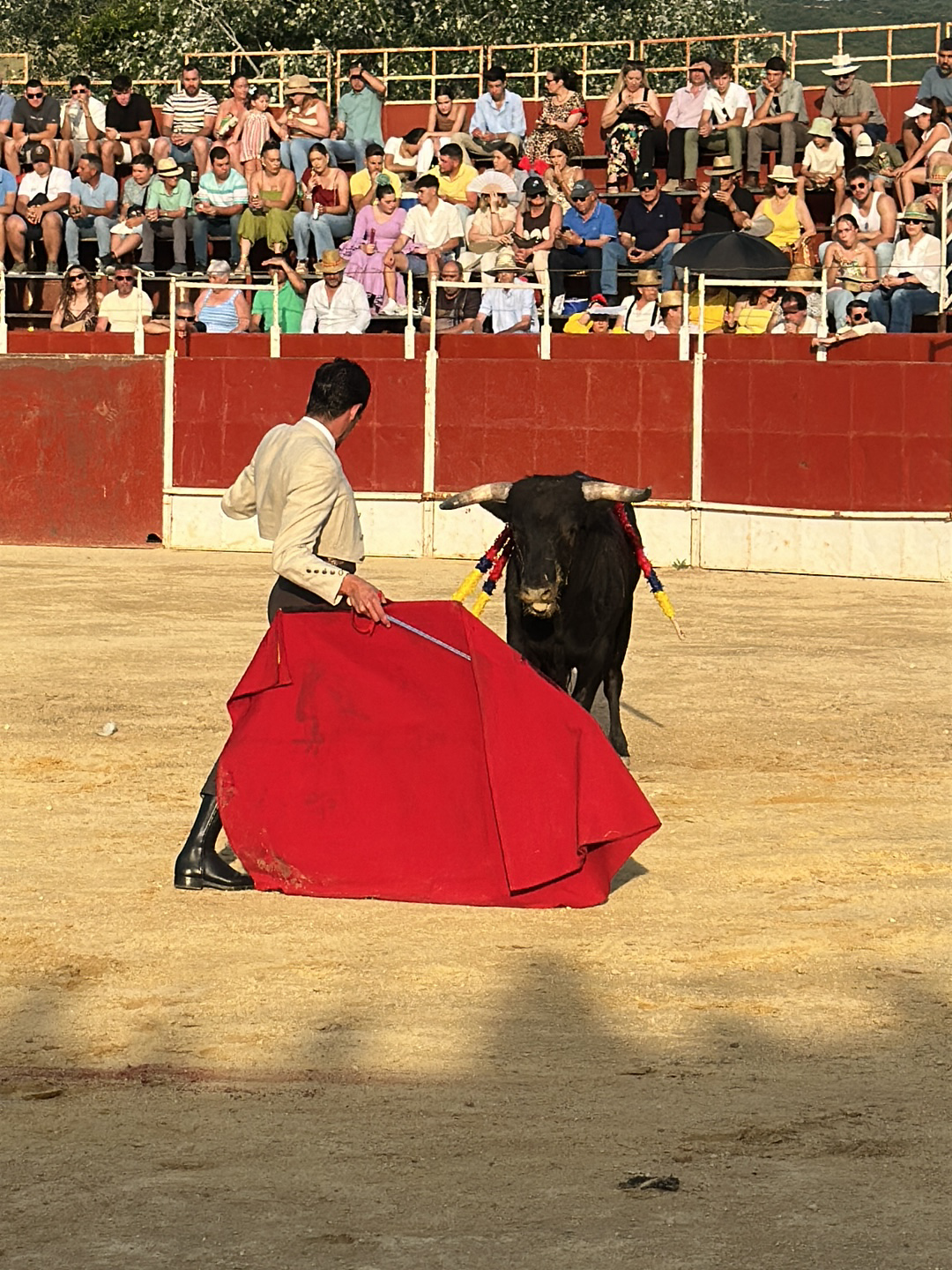 A bullfight is underway in San José del Valle, Spain, as indicated by the crowd seated in bleachers around a bullring. A bullfighter, dressed in a light-colored suit and dark boots, holds a large red cape. Facing the bullfighter is a black bull with yellow and red adornments on its back. The ground of the ring is sandy. A barrier lines the back of the arena. Trees are visible in the background, outside the stadium.
