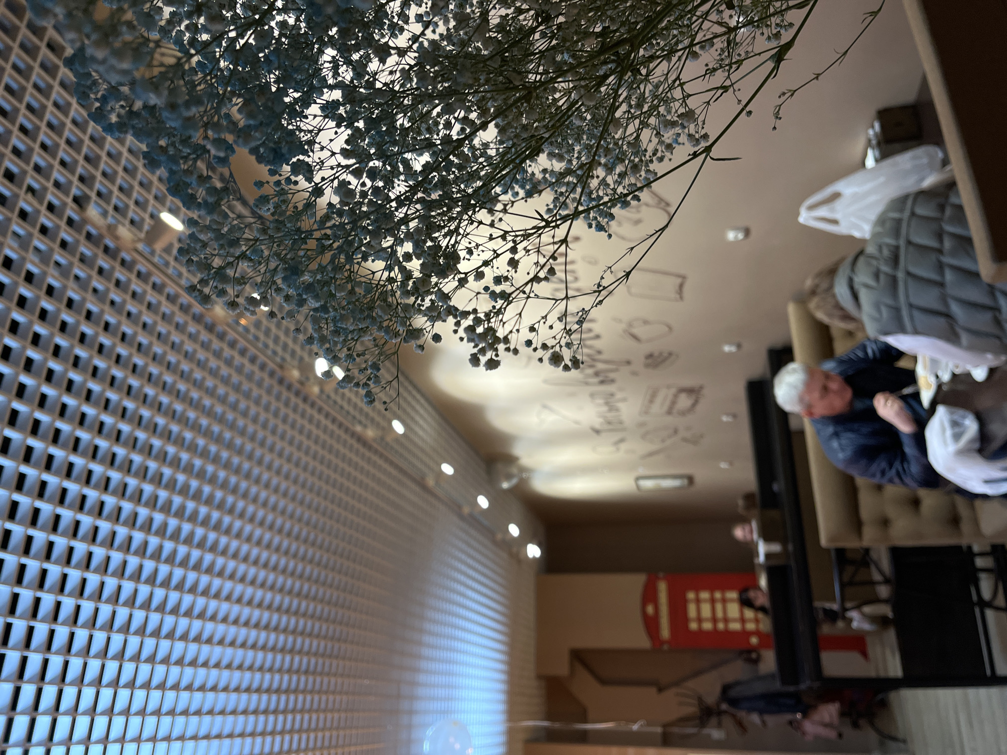 An interior scene depicts a dimly lit cafe with a focus on a foreground cluster of delicate baby's breath flowers. In the background, patrons are seated at tables. A man with graying hair is eating, while another individual in a gray vest sits opposite. Further back, a red British-style telephone booth is visible, suggesting a themed cafe. The walls are decorated with whimsical drawings. The ceiling is a grid of square panels with recessed lighting. The cafe appears to be located in Petropavlovsk-Kamchatsky, Russia.