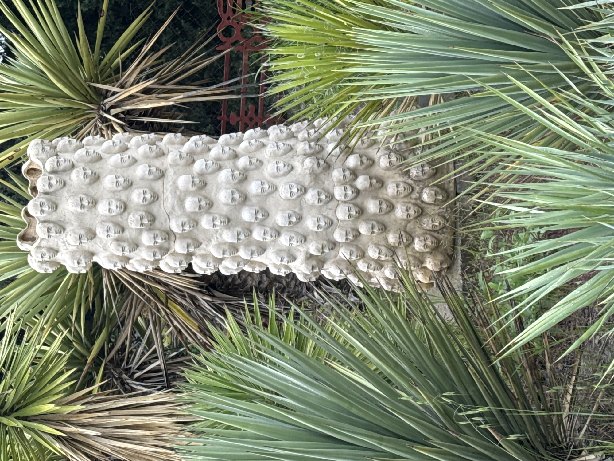 A low-angle shot shows a rectangular cement block or lintel covered in many small human faces, resting amid tall, spiky green plants, likely yucca or agave, possibly in an outdoor garden or landscape setting. A glimpse of a red, ornate metal structure is visible in the upper-center background. The exact location is in the city of Unknown, Unknown.