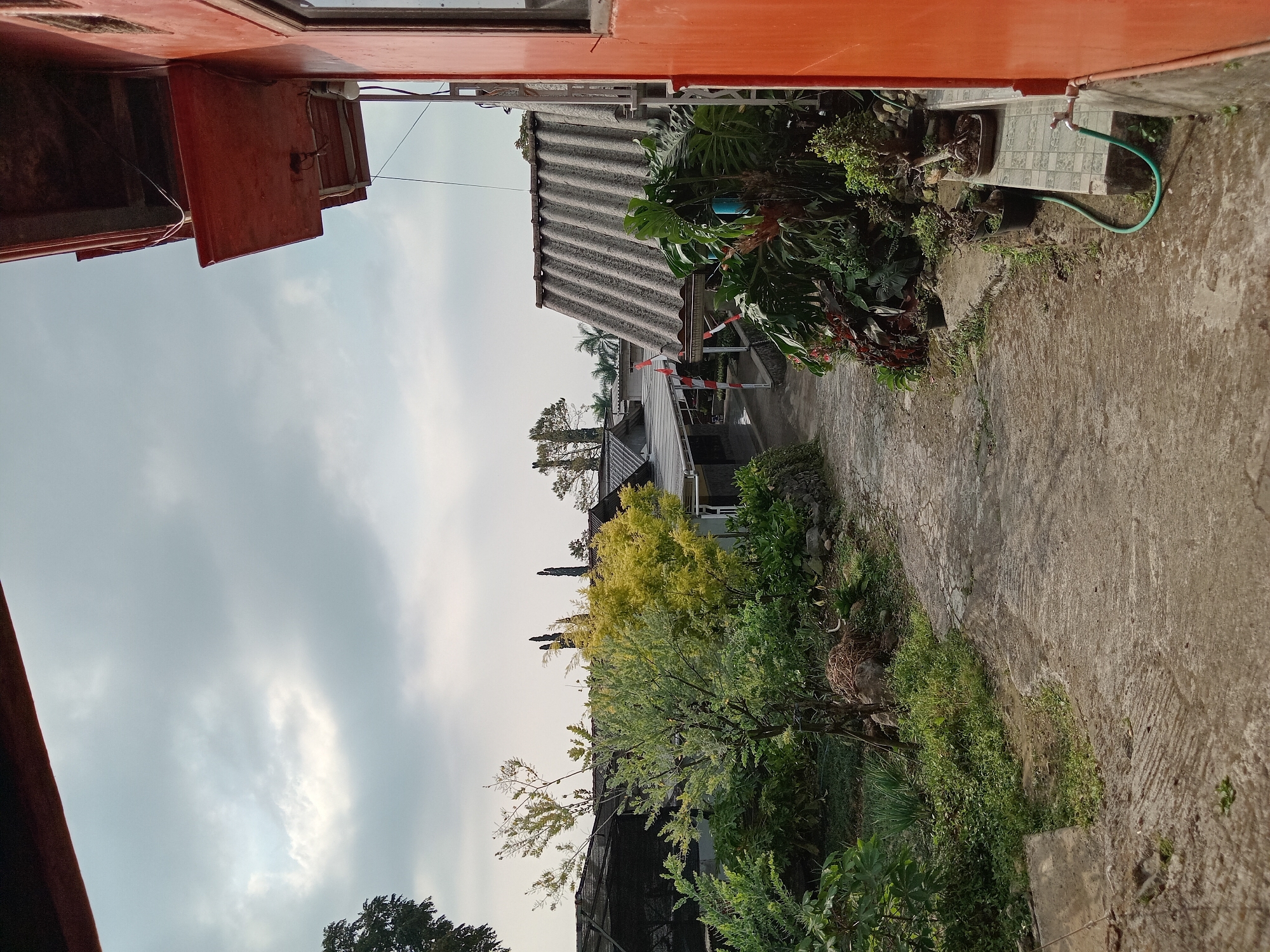 This image depicts an outdoor scene in Claket, Indonesia, featuring a pathway leading towards a cluster of buildings under a cloudy sky. The pathway is paved with concrete and shows signs of wear. To the left of the path, there is lush green vegetation and trees, including a tree with light green foliage and another with yellow leaves. Several structures with corrugated roofs are visible in the background, some covered with black netting. To the right, a vibrant orange building dominates the foreground, with a window and an overhang. Adjacent to the orange building, a tiled platform holds several potted plants, including bonsai trees, and a green garden hose is connected to a faucet. The overall environment suggests a residential or possibly a guesthouse area, characterized by a blend of natural greenery and man-made structures.