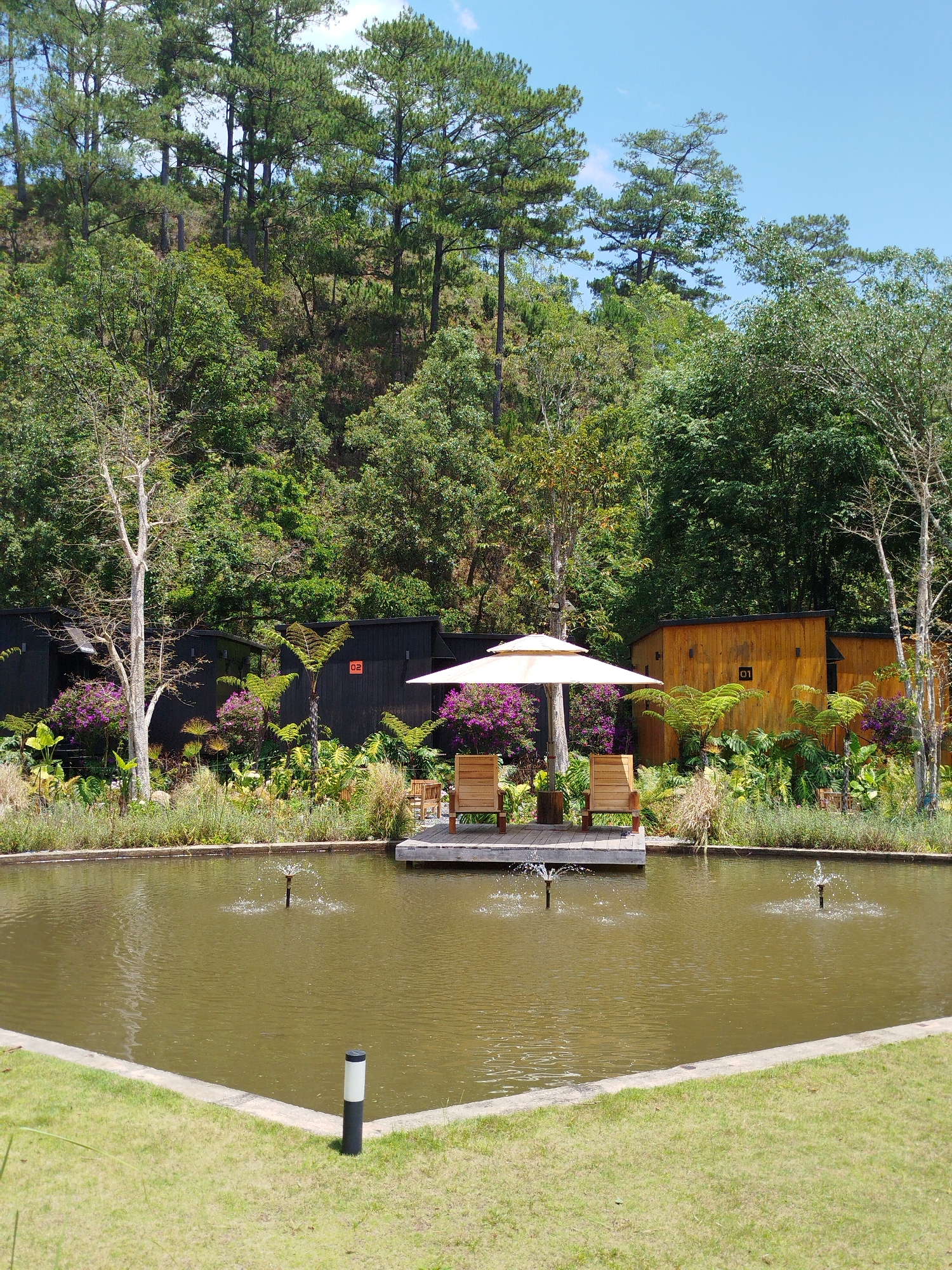 Captured in Da Lat, Vietnam, the image features a tranquil outdoor setting. In the foreground, a pond of brown water is adorned with several small fountain jets. A platform extends into the pond, furnished with two wooden chairs and a white parasol. Behind the pond, meticulously landscaped vegetation, including ferns and purple flowering plants, separates the pond from two small buildings with dark and light wooden exteriors, labeled with room numbers. The background is a lush green hillside covered with dense trees against a clear blue sky. A solar pathway light is visible in the lower left foreground.