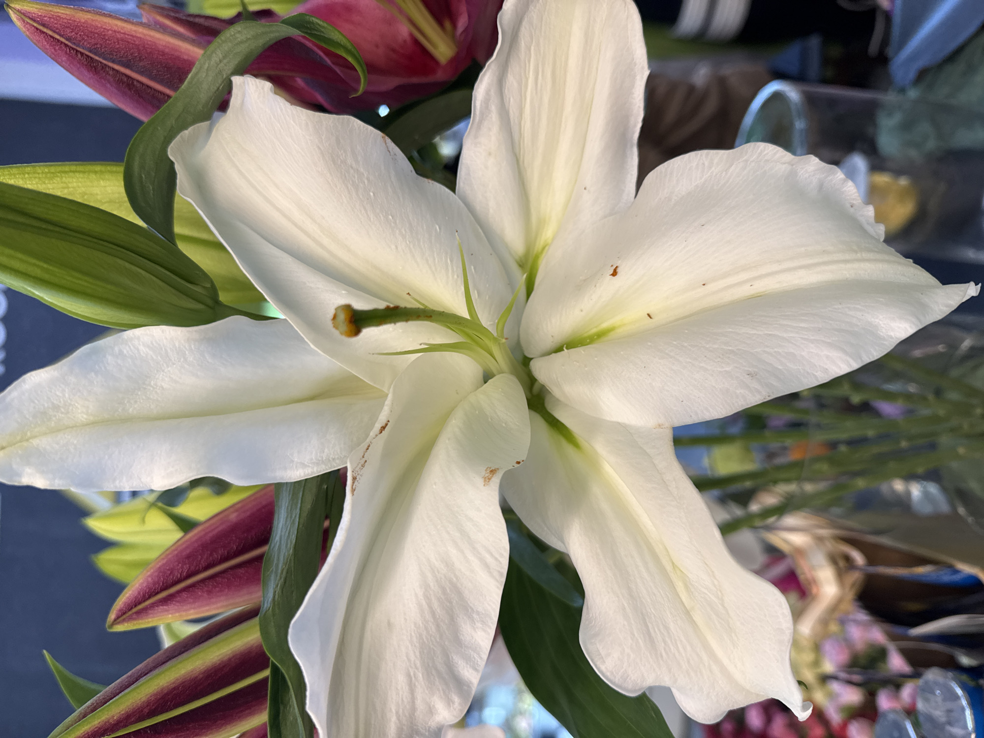 The image is a close-up of a white lily in full bloom. The flower has several large, slightly wrinkled petals. Some of the petals have small brown spots. In the background, there are other flowers and green leaves. Some of the other flowers have purple and green coloration on their petals. There is a blurred background, suggesting the flower is part of a larger bouquet. The context of the location in Batumi, Georgia is not discernible from the image itself.