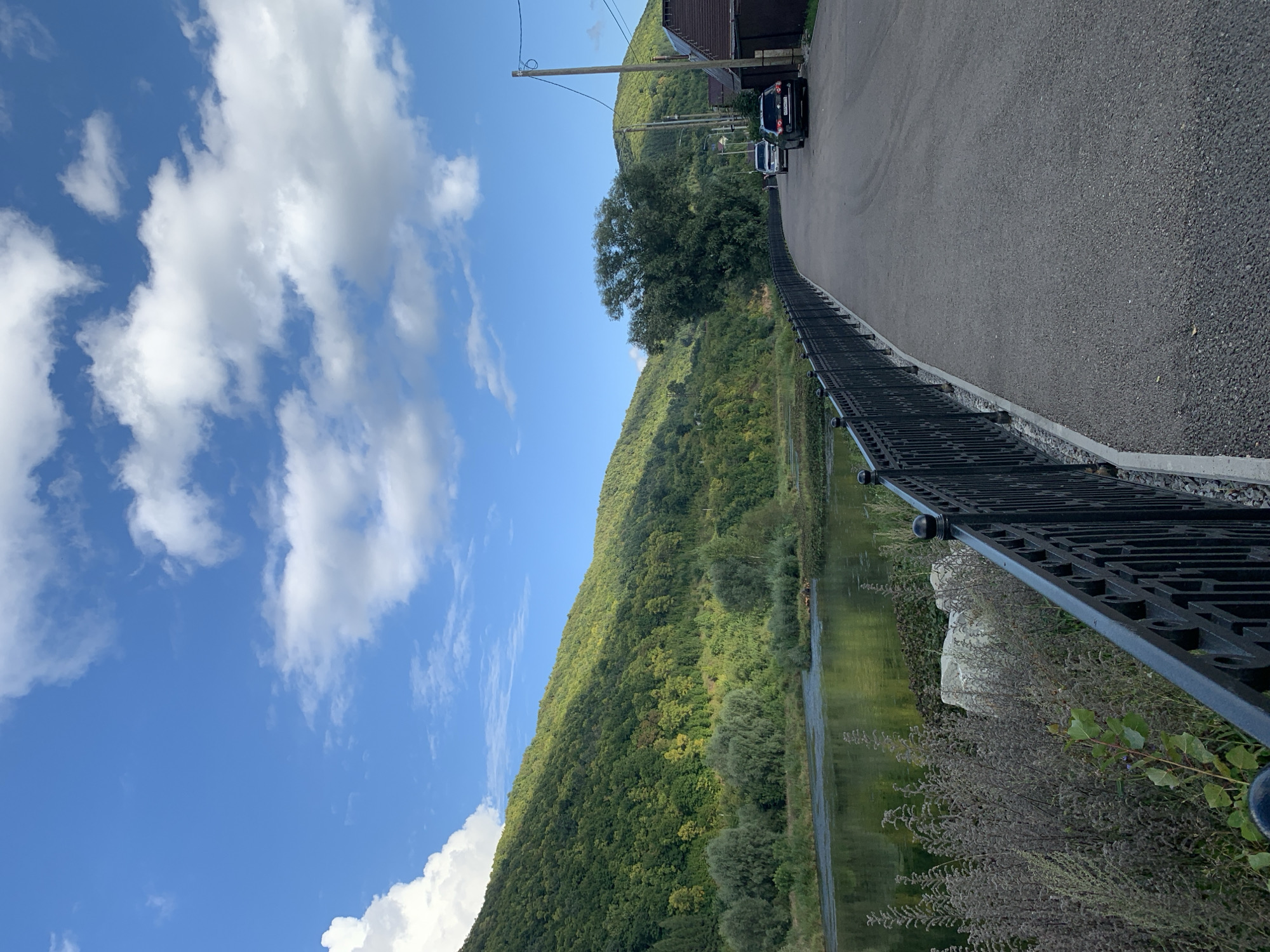 The image depicts a picturesque scene along the bank of a river in Asha, Russia. A paved walkway, bordered by an ornate black metal fence, curves along the river's edge. To the left of the walkway, the tranquil river reflects the lush green hills that rise steeply behind it, densely covered with trees and vegetation. The sky above is a vibrant blue, dotted with fluffy white clouds, suggesting a clear and pleasant day.
On the right side of the walkway, several cars are parked, and a building with a brown roof is visible, indicating a developed area adjacent to the natural landscape. A tall wooden utility pole with wires stands near the building. A large, mature tree with a full canopy is situated further down the road, adding to the scenic beauty. The foreground of the image shows dry, wispy vegetation and a large white rock near the fence, adding texture and detail to the scene. The overall impression is one of serene natural beauty complemented by a well-maintained public space.