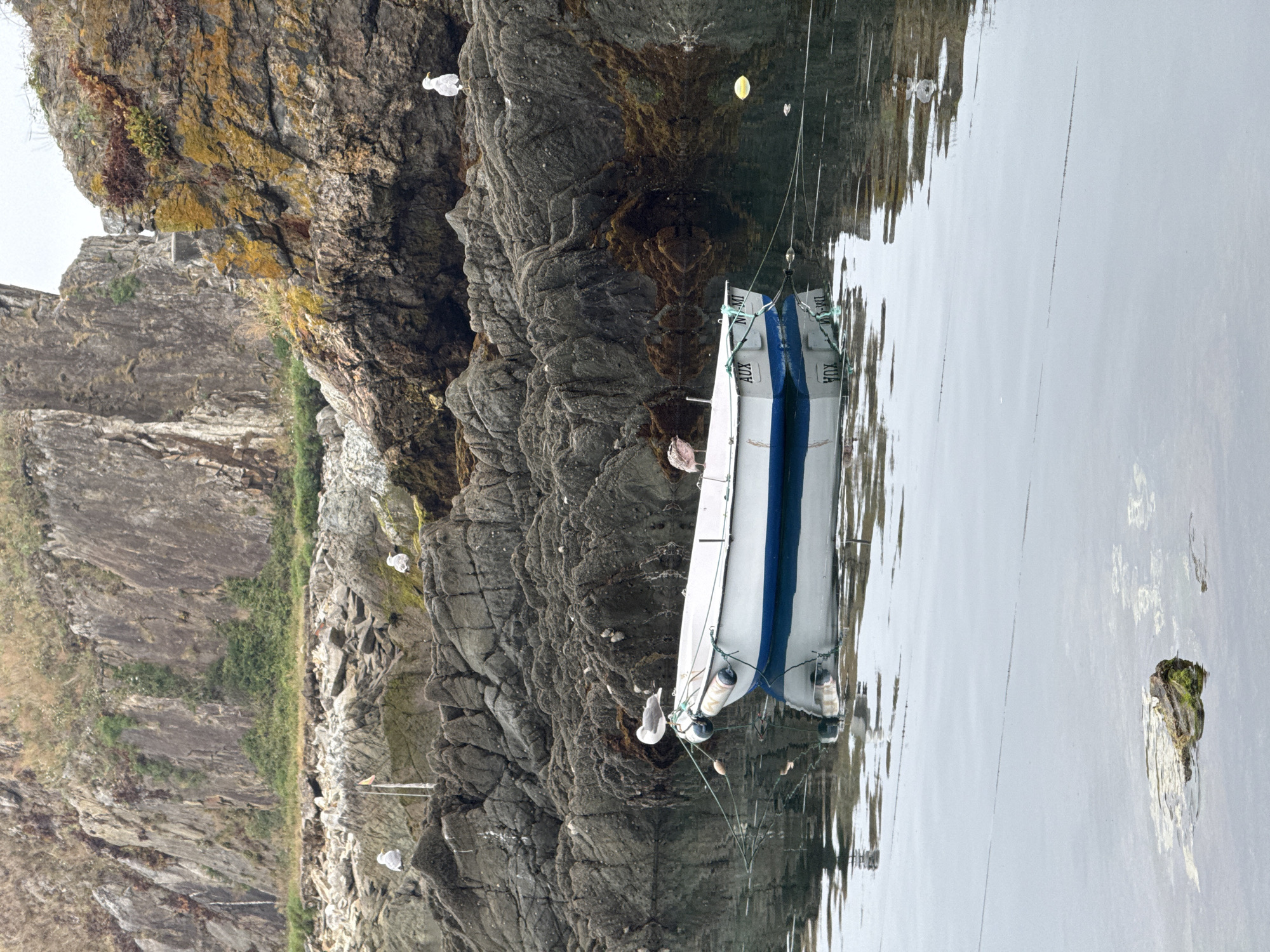 The image depicts a serene coastal scene in Cudillero, Spain. A small white boat with a blue stripe is moored in calm, reflective water. The boat has "AUX" and "KOA" visible on its side. The setting is characterized by rugged, rocky cliffs covered in patches of moss and vegetation, rising from the water's edge. Several seagulls are perched on the rocks and in the water. The sky appears overcast, suggesting a mild, possibly drizzly day. The water's surface is smooth, reflecting the surrounding rocks and the boat, creating a mirror-like effect. A yellow buoy floats on the water near the boat. The overall impression is one of tranquility and natural beauty.