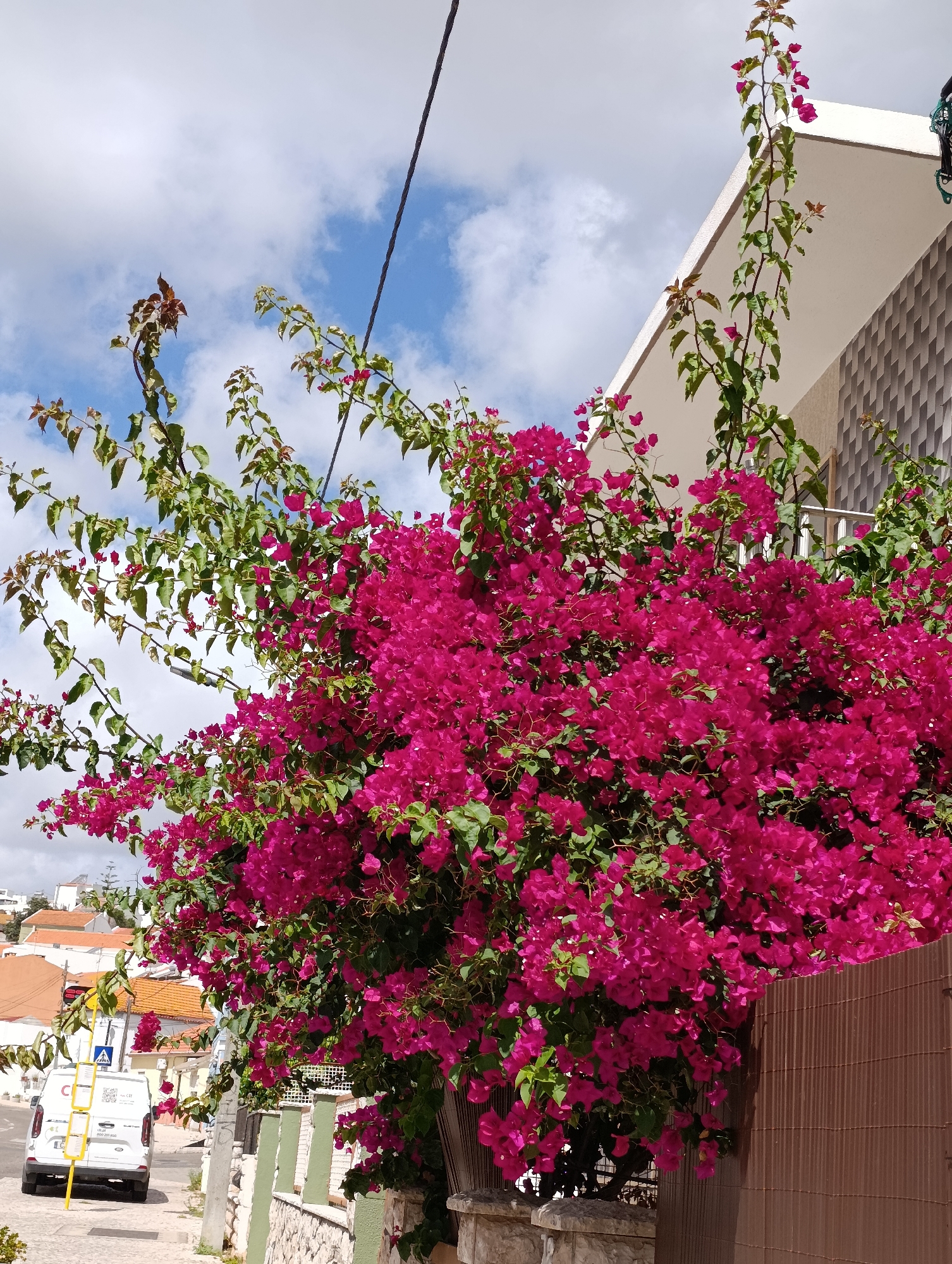 The image shows a vibrant bougainvillea plant with bright magenta flowers and green leaves, cascading over a wall in Setúbal, Portugal. The plant is situated in the foreground, dominating the frame. Behind the bougainvillea, a white van is parked on a street, with a yellow pole and signage to its left. In the background, residential buildings with orange tiled roofs are visible, and the sky is partly cloudy. A black electrical wire runs diagonally across the upper portion of the image. The architecture of the building to the right suggests a modern design with patterned walls and a balcony railing. The overall scene depicts a sunlit day in a Portuguese urban environment, with the lush flora adding a splash of color.