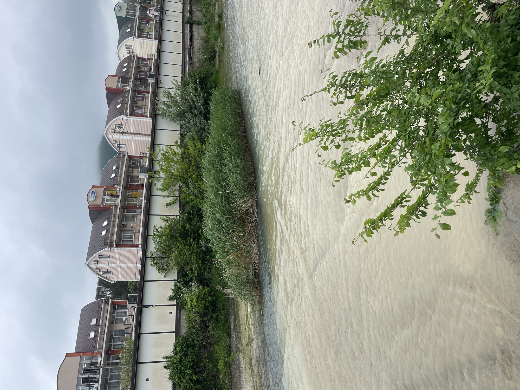 The image shows a body of water, possibly a river or canal, with muddy-looking water. On the left, there are multiple buildings with balconies and curved rooflines. Green foliage and some reeds grow along the bank of the water. Part of a leafy tree extends over the water on the right. The scene is overcast with a grey sky. Based on the context provided, the location is Olginka, Russia.