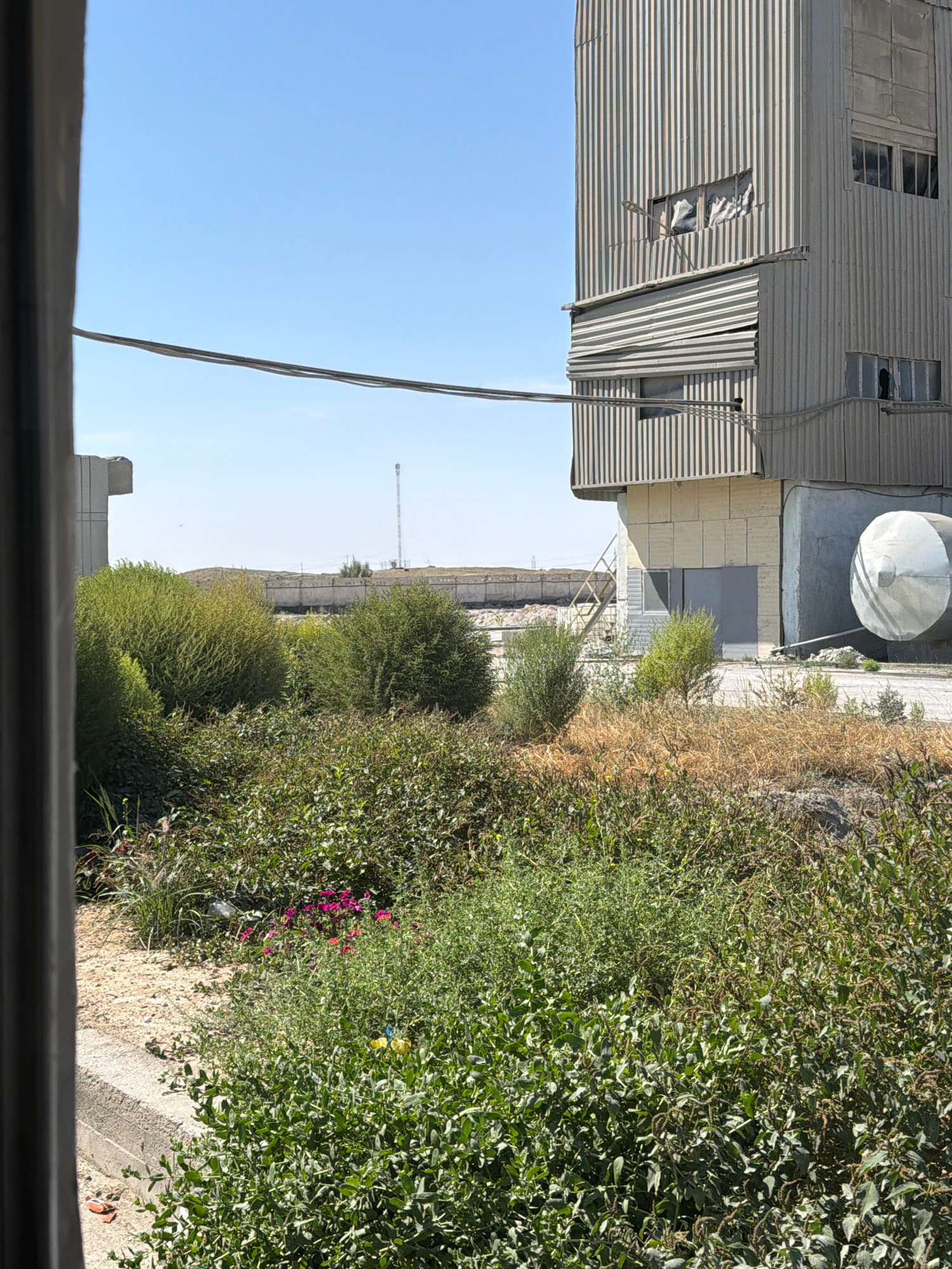 This is a photograph taken outdoors on a clear day, likely in an industrial or construction area in the city of Besapan, Uzbekistan. The foreground is dominated by dense green foliage, with some patches of dry, brown grass and scattered pink and yellow wildflowers. A concrete curb runs along the bottom left of the image.
In the middle ground, a cluster of large, bushy green plants are prominent. Behind these plants, a tall, corrugated metal building stands out. This building has several windows, some of which are boarded up or covered with opaque material, and appears to be in a state of disrepair. A large, cylindrical metal tank is attached to the side of this building. A metal staircase is visible leading up to a section of the building.
Further in the background, there is a long, low wall or fence, beyond which more industrial structures and a tall communication tower are visible against the pale blue sky. Power lines are strung across the upper portion of the image, connecting to the tall building. The overall impression is one of an abandoned or partially active industrial site with encroaching vegetation. There are no people or animals visible in the image.