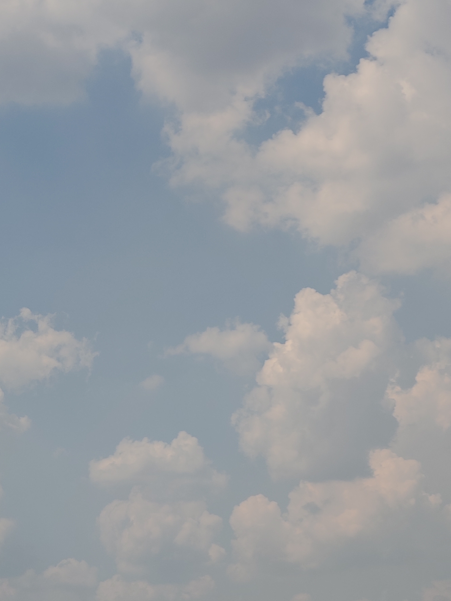 The image shows a bright, partly cloudy sky with a soft blue hue. The clouds are varied, with some appearing as wispy streaks and others as fluffy, cumulus formations. The lighting suggests it is daytime, with the sun likely positioned behind the clouds or out of frame, creating a diffused and even illumination. There are no discernible landmarks, structures, or living beings visible, indicating an open, aerial perspective. The overall impression is one of a peaceful and expansive sky.