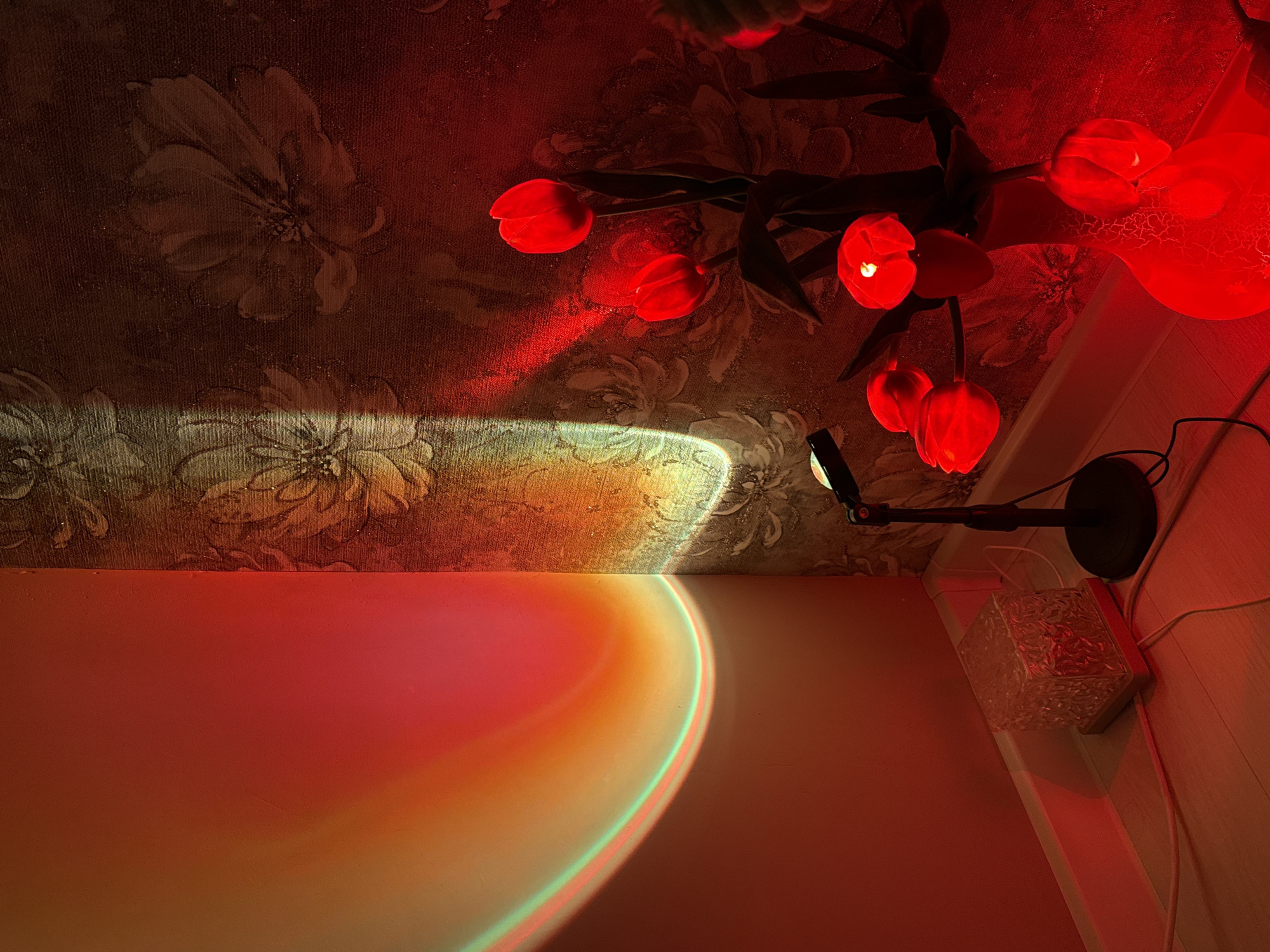The image depicts an indoor corner of a room in Unknown, Unknown, characterized by a complex interplay of artificial lighting. The left wall is a plain, light-colored surface that receives a large, curvilinear light projection. This projection displays a gradient of colors, moving from a central bright yellow-orange core through orange and red hues, culminating in a distinct arc of bright green.
The right wall is covered with patterned wallpaper, featuring large, embossed or textured floral designs on a darker, possibly muted gold or brown base. This wallpaper, along with objects in the right corner, is heavily saturated with intense red light. A vertical streak of brighter, somewhat greenish-yellow light is visible on the patterned wallpaper near the corner intersection.
On the floor against the left wall, a translucent, cubic object with a textured surface is present, reflecting the red ambient light. A light-colored electrical cord runs along the baseboard from this object. Positioned close to the corner on the floor is a small, black light projector mounted on an adjustable black tripod stand. A dark electrical cord extends from this projector.
Further to the right, a tall, light-colored vase with a visible crackle or textured finish stands on the floor. It holds a bouquet of at least five artificial tulip blooms with dark stems and leaves. Each tulip bloom glows vibrantly red, with a small, brighter spot at its center, indicating internal illumination or intense reflection of the red light. The floor is a light-colored wood or laminate surface, and light-colored baseboards line the walls.