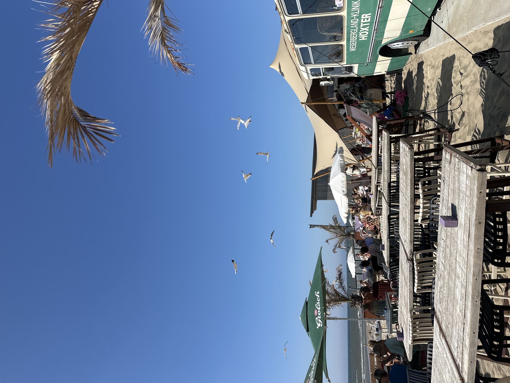 The image depicts a lively beachside scene at a cafe or restaurant in Zandvoort, Netherlands. In the foreground, several weathered wooden tables and chairs are set up on the sand, indicating an outdoor dining area. To the left, two large green umbrellas with the "Grolsch" logo provide shade. Beyond the tables, people are seated and enjoying themselves, some under additional white umbrellas.
A prominent feature of the scene is a vintage green and white bus, partially covered by a large, light-colored tent structure. The bus has text on its side reading "WESERBERGLAND-KLINIK HOXTER." The overall ambiance suggests a popular spot for relaxation and socializing, likely on a sunny day given the clear blue sky and the presence of beachgoers. Seagulls are visible flying in the sky, adding to the coastal atmosphere. The background shows the ocean and a sandy beach, characteristic of Zandvoort's coastal landscape.
