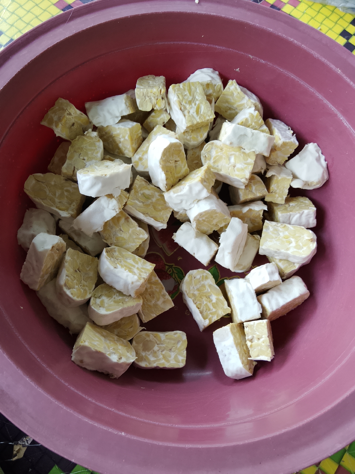 A high-angle, medium shot captures a close-up of cubed tempeh inside a pink plastic bowl. The tempeh pieces, cut into roughly 1-inch cubes, are a pale yellow with white, fuzzy mycelium coating their surfaces, indicating fermentation. Some pieces are whole cubes, while others are partially cut, showing the textured interior of the soybean product. The bowl is slightly worn, with visible rings on its inner surface and a slightly textured exterior.
The bowl sits on a surface with a checkered pattern in yellow, black, and green, suggesting an indoor setting, likely a kitchen or dining area. The lighting is bright, indicating daytime. No people are visible in the image. The tempeh appears to be prepared for cooking or consumption, possibly as part of a meal preparation in Kruenglingka Barat, Indonesia. The overall impression is of a simple, domestic scene focused on food preparation. There is no visible text in the image.