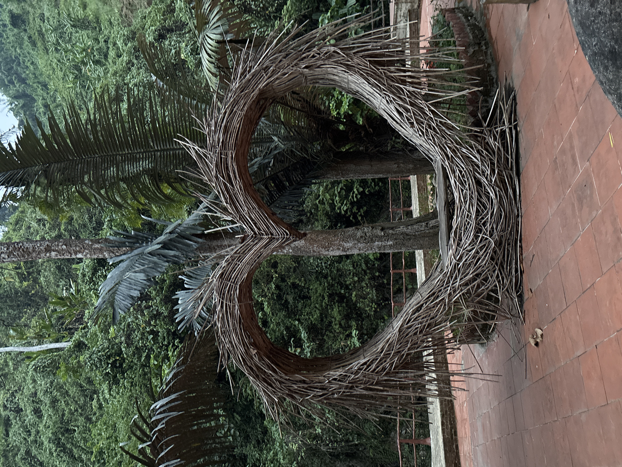 The image shows a large, heart-shaped structure made of woven branches, positioned on a brick-tiled surface with a lush, green forest as a backdrop. Part of a palm tree is visible to the left of the heart structure. A metal railing is present along the edge of the bricked area. The photograph was taken at the InterContinental Danang Sun Peninsula Resort.