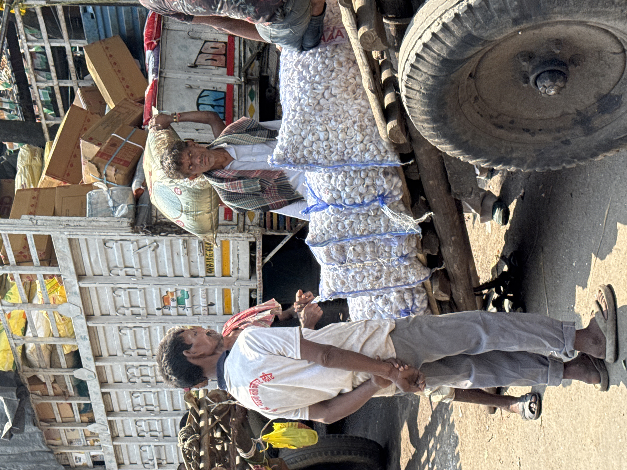 This image captures a street scene in a bustling market or logistics area within Kolkata, West Bengal, India.
The scene centers around the loading and movement of goods under bright sunlight. In the foreground, a man with dark hair, wearing a white short-sleeved t-shirt featuring red Bengali script on the back, and grey trousers, stands with his hands clasped behind him, facing right. He wears brown slip-on sandals. To his right, a sturdy wooden handcart or trolley, equipped with two large, dark rubber wheels, is heavily loaded with multiple white mesh sacks, each filled with a large quantity of white garlic bulbs. These sacks are bound with blue ropes.
Behind the loaded handcart, another man with dark, curly hair, dressed in a white collared shirt and a plaid (red, blue, white) scarf draped over his shoulders, stands looking directly forward, his right arm slightly raised, appearing to interact with or support the loaded cart. On the far right edge of the frame, the lower body of a third individual is visible, clad in blue jeans, seated atop the garlic-laden trolley.
In the background, a large, light-grey commercial truck is parked, its cargo bed featuring a metal slatted structure and overloaded with numerous brown cardboard boxes and yellow/white sacks. The truck displays a partially visible license plate "WB-19G-644," confirming its registration in West Bengal, and an Indian flag sticker on its side. A yellow plastic bag hangs from the truck's left side. The ground surface consists of dirt and worn asphalt, displaying harsh shadows indicative of intense daytime sun. The collective activity suggests a commercial operation involving the transport and distribution of produce within a dense urban environment characteristic of Kolkata's wholesale markets.