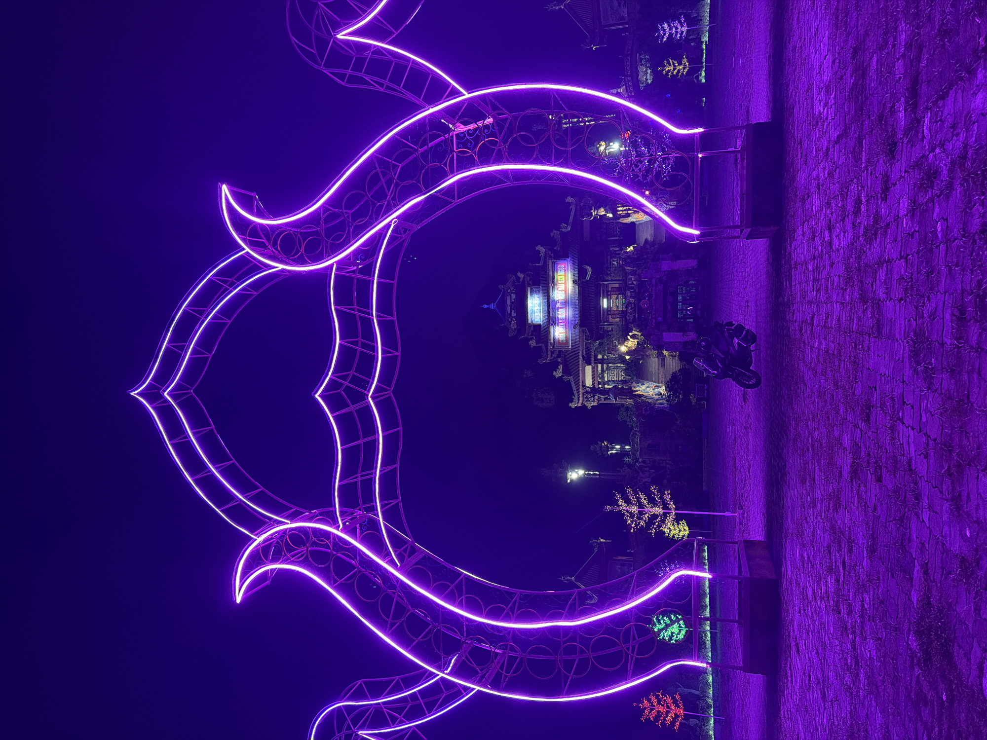 The image captures a vibrant night scene in Đà Nẵng, Vietnam, featuring a prominent, intricately designed light installation. The central subject is a large, ornate structure made of a wire frame, illuminated with bright purple neon lights. Its flowing, curvilinear forms suggest stylized organic shapes, possibly reminiscent of a lotus flower, traditional scrollwork, or abstract ribbons. The intense purple glow from this structure permeates the immediate foreground and midground.
In the background, traditional Asian-style buildings are visible, illuminated with an array of lights in white, yellow, blue, and red, hinting at a cultural complex, temple grounds, or a nighttime entertainment area. While some signs are present on these buildings, any text is too distant and blurry to be deciphered. Scattered around are decorative trees and bushes, also adorned with festive lights in various colors, including white, yellow, green, and red, contributing to the festive ambiance.
The ground on the right side of the image appears to be a paved path or plaza, reflecting the dominant purple light. A dark, partially visible object resembling a parked motorcycle or scooter can be seen near the buildings on the right. The scene is clearly set at night under a dark sky, with no indications of adverse weather. The overall impression is one of a captivating and festive outdoor display, likely a permanent attraction or part of a special event. No people are visible in the frame.