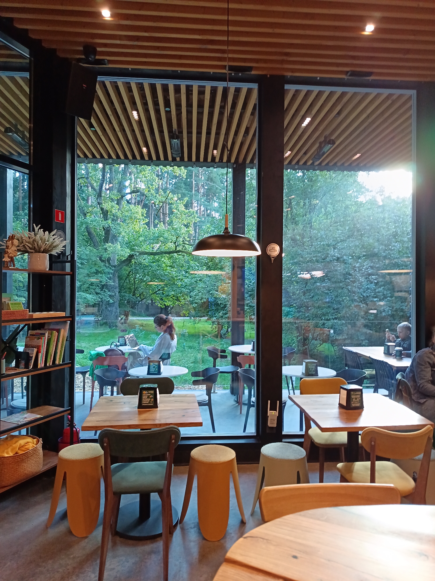 The image depicts the interior of a cafe with a large window overlooking a park or wooded area. The cafe has a modern design with wooden slatted ceilings and industrial-style lighting. Several tables and chairs are visible, some occupied by patrons. In the foreground, a wooden table is set with a small black cube, likely a sugar dispenser or a decorative item. To the left, a bookshelf displays books and decorative items.
Outside the window, the lush green foliage of trees suggests a natural setting. A woman is seated at a table in the middle ground, looking at a laptop. In the background, other patrons can be seen at tables. The overall atmosphere appears relaxed and inviting, suitable for a cafe environment. The location is identified as Odintsovo, Russia, based on the provided prompt.