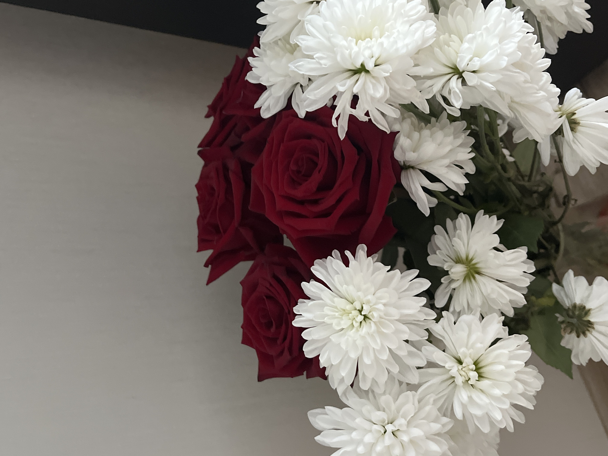 A bouquet of red roses and white chrysanthemums is displayed against a light-colored wall and a dark vertical surface. The image appears to be a close-up of the flowers, with the background softly blurred. The flowers are the primary focus, showing their vibrant colors and delicate petal structures. There is no indication of the city of Ust'-Katav, Russia, or any people or actions within the scene.