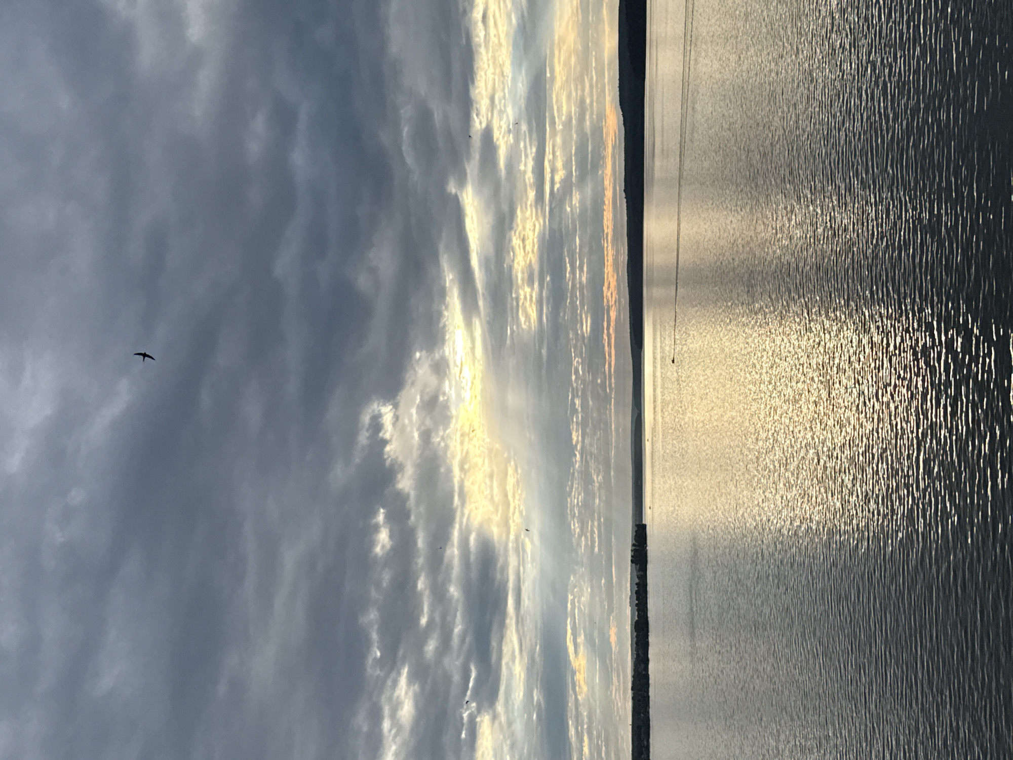 The image depicts a wide, calm body of water, likely a river or lake, at dusk. The sky is filled with dramatic, dark clouds, with rays of sunlight breaking through in the distance, creating a shimmering reflection on the water's surface. A lone bird is silhouetted against the clouds in the upper center of the frame. In the background, a dark, forested shoreline is visible, with a small island or peninsula jutting out into the water on the left side. The overall atmosphere is serene and slightly moody, indicative of the end of a day. The scene is consistent with views of the Votkinskoye Reservoir in Votkinsk, Russia. There are no people or specific objects that would indicate urban activity.