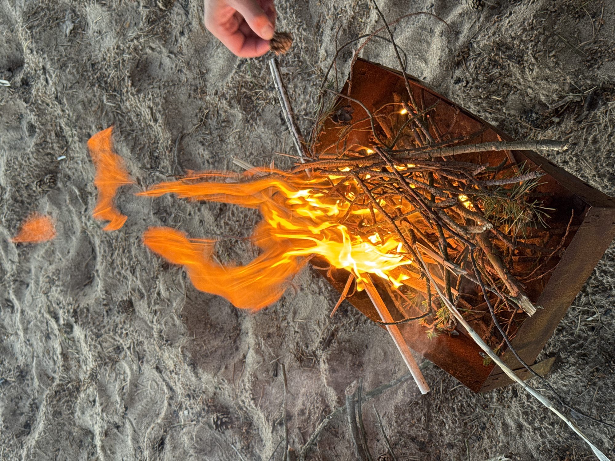 A hand is dropping a small piece of kindling into a small, makeshift fire pit filled with dry twigs and pine needles. The fire is actively burning with bright orange and yellow flames, casting a warm glow on the surrounding sandy ground. The fire pit itself appears to be a rusty, square metal container. The scene is set outdoors in what looks like a natural environment, possibly a forest floor or a beach, given the sandy texture and scattered pine cones. The time of day is not clearly discernible, but the lighting suggests it could be late afternoon or early evening. The overall mood is one of preparing for a campfire, with a sense of simple outdoor activity. There is no visible text in the image.