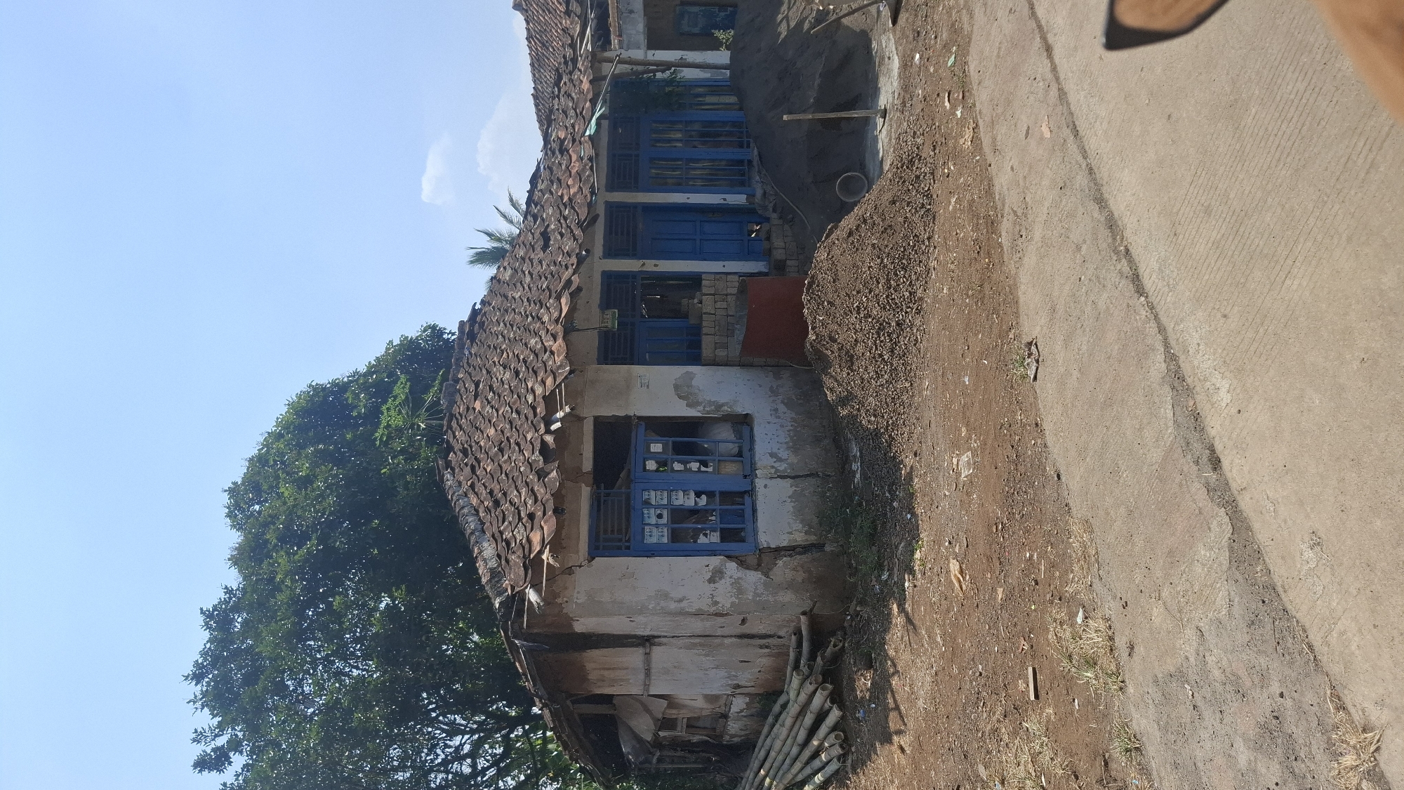 An old, weathered house with a tiled roof in disrepair stands under a clear blue sky. The white stucco walls are cracked and stained, revealing underlying brickwork in places. Several windows with blue frames are visible, some with blue bars. One window appears broken. Piles of dirt and gravel are stacked in front of the house, suggesting ongoing construction or renovation. A stack of bamboo poles lies to the left of the house. The ground is dry and dusty, with some sparse vegetation. In the background, a large, leafy tree provides shade. A palm tree is also visible behind the house. The house appears to be located in a rural or semi-rural area of Ciharashas, Indonesia, given the style of the building and the surrounding vegetation. There are no people visible in the image.