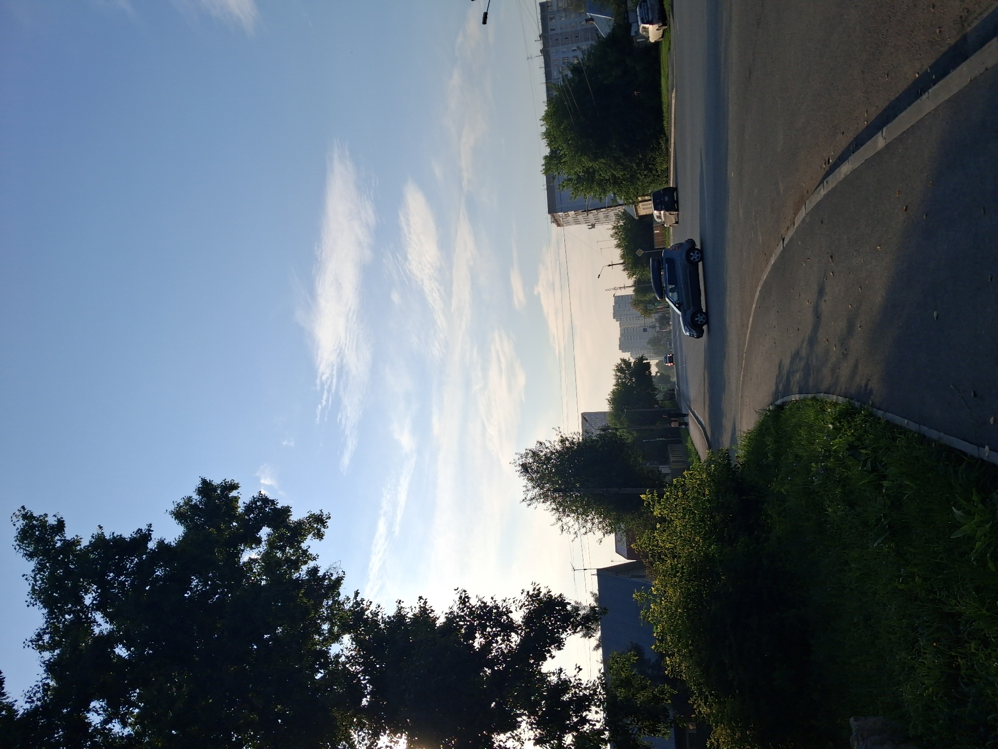 This is a vertical, eye-level, full shot of a street scene on a bright, sunny day. In the foreground, a large, leafy tree dominates the left side of the frame, with sunlight filtering through its branches. A paved road curves from the lower left to the right, with a grassy embankment and sidewalk on the left. Several cars are visible on the road, including a silver Kia Soul turning at an intersection and a white sedan parked on the right. In the background, residential buildings and trees line the street, and a bright blue sky with scattered white clouds stretches overhead. The scene appears to be in an urban or suburban area of Novosibirsk, Russia, likely during the summer or early autumn, given the lush greenery and clear skies.