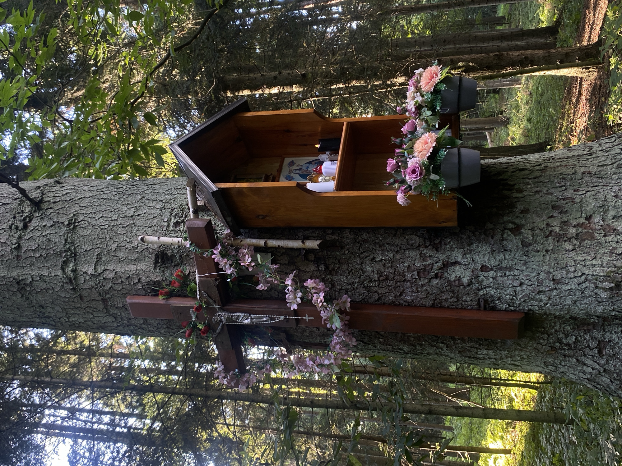 The image shows a wooden shrine attached to a large tree in a forest. The shrine is located in the city of Stary Sącz, Poland. The shrine contains a framed image of what appears to be a religious icon, two small candle holders, and a black candle. There are also two small pots with artificial flowers hanging below the shrine. To the left of the shrine, a wooden cross is also attached to the tree. The cross is decorated with artificial pink flowers and red roses, and a silver crucifix hangs from it. The forest is densely populated with tall coniferous trees, and sunlight filters through the canopy, illuminating parts of the forest floor. The overall scene suggests a place of devotion or memorial within a natural setting.