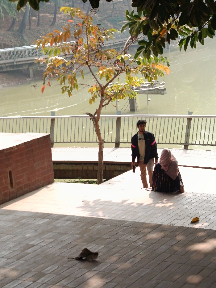 Memory