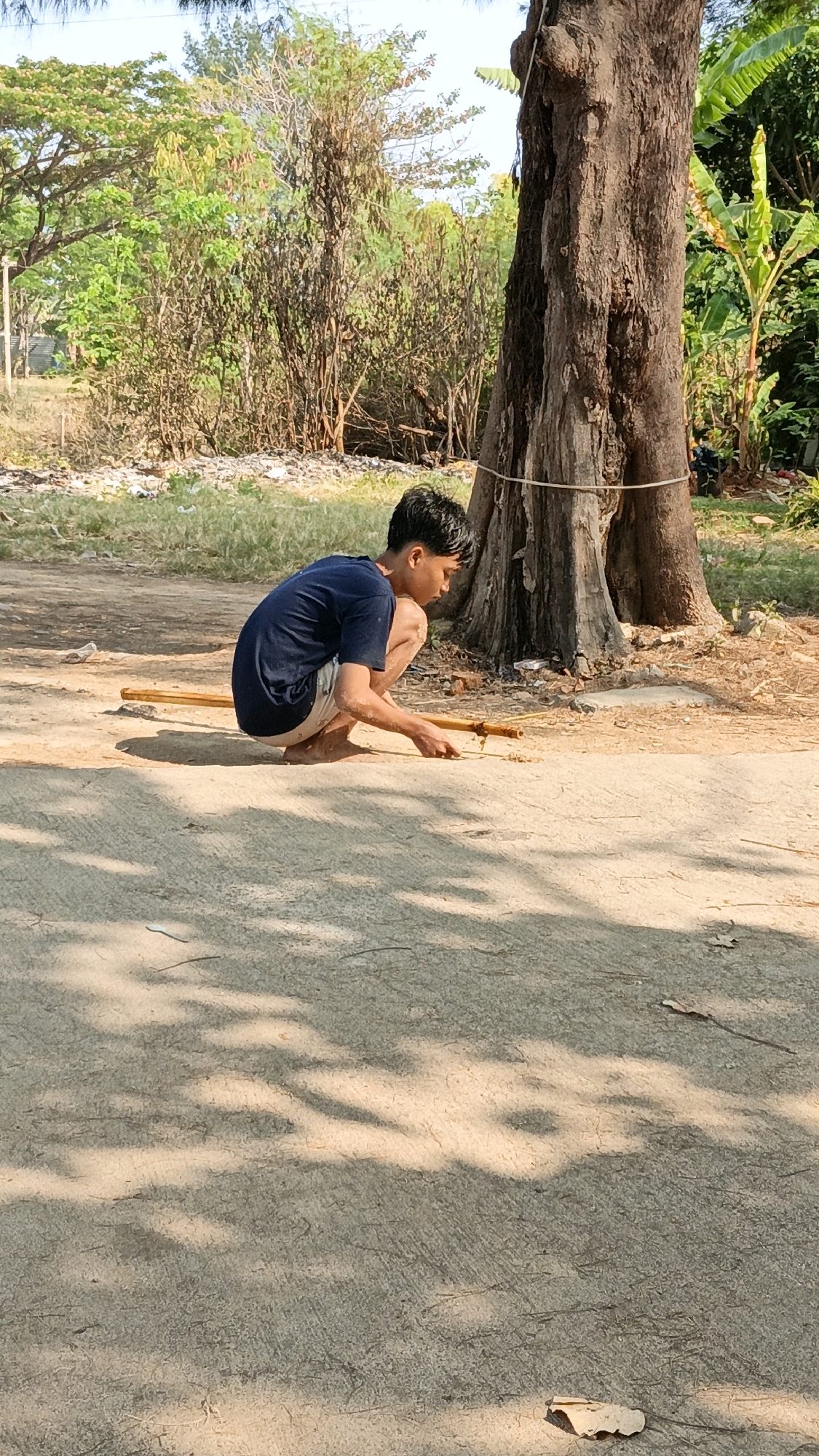 A young boy, appearing to be of Indonesian descent and wearing a dark blue t-shirt and light-colored shorts, is squatting on a dirt and concrete surface. He is positioned near the base of a large tree. In his hands, he holds a long, thin wooden object, possibly a stick or a tool, which he is manipulating on the ground. The area around him is somewhat unkempt, with some debris visible on the ground. In the background, there are trees, bushes, and a hint of a fence. The overall lighting suggests a bright, sunny day. The location is identified as Cikal, Indonesia, implied by the context of the image.