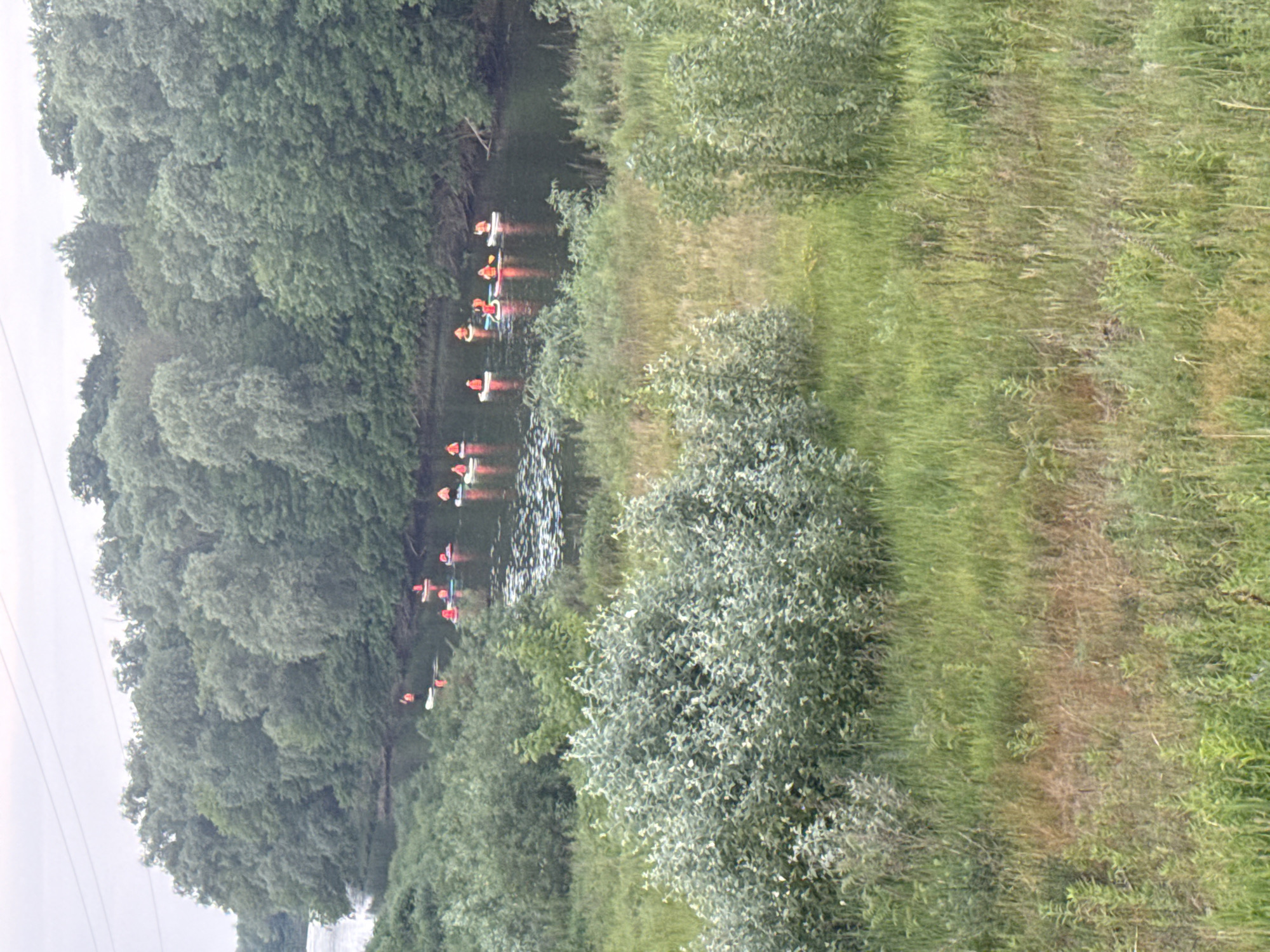 The image depicts an outdoor daytime scene in the city of Unknown, Unknown, featuring a river with individuals engaged in water activities, bordered by dense vegetation under an overcast sky.
In the midground, a dark, calm river flows from the left to the right. Approximately fifteen individuals are visible on the water, all wearing bright orange or red life vests. They are distributed on various white, light blue, and one green/yellow paddleboards or small, flat-bottomed boats. Several individuals are standing and paddling, while others appear to be kneeling or sitting. On the far left, one individual is partially submerged in the water next to their board, with another person standing close by. The water's surface shows ripples and reflections, indicating gentle movement.
The far bank of the river is lined with a dense, unbroken stretch of mature green deciduous trees, forming a thick forest that extends across the entire background. The sky above is uniformly light grey and overcast. Two thin, dark horizontal lines, consistent with power lines or cables, traverse the upper left portion of the image.
The immediate foreground consists of a natural, unkempt landscape. It is dominated by varied green and brown grasses of different heights, interspersed with numerous leafy green shrubs and plants. A large, rounded bush with distinctive silvery-green foliage is prominent in the lower-left foreground. The overall impression is a natural, recreational environment.