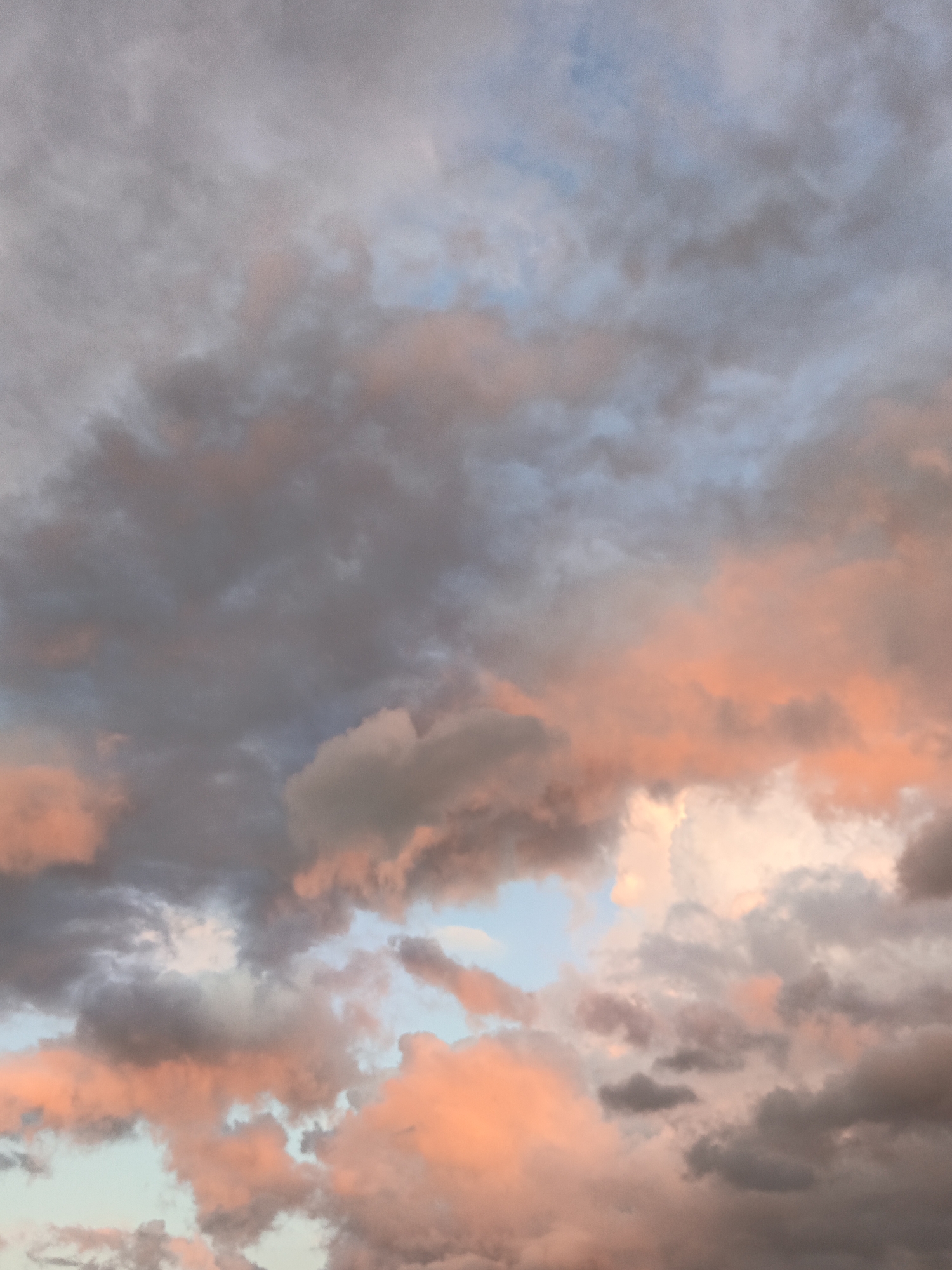 The image is a close-up, vertical shot of a cloudy sky, likely taken during sunset or sunrise due to the presence of pink and orange hues mixed with gray and blue. The clouds are textured and appear somewhat dense in some areas, with lighter, more diffused clouds in others. There are no discernible landmarks, people, or objects that would indicate a specific location within the city of Лосева, Belarus. The focus is entirely on the atmospheric conditions of the sky.