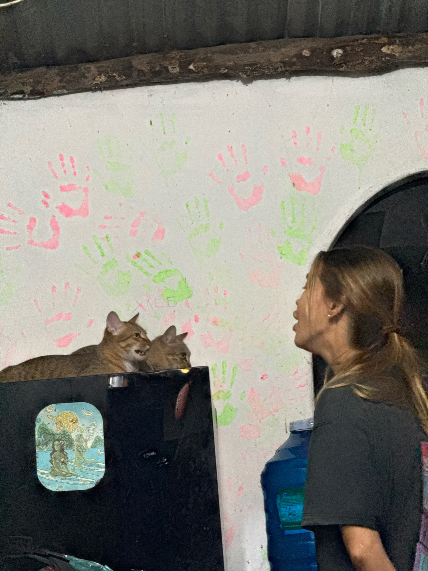 The image depicts an indoor scene in Cam Lam, Vietnam. Two cats are perched on top of a black rectangular object, likely a refrigerator or similar appliance. The wall behind them is white and decorated with numerous handprints in pink and light green paint. To the right of the cats, a young woman with brown hair tied in a ponytail is looking towards the wall, her mouth open as if speaking or surprised. She is wearing a dark t-shirt. Next to her, to the right, a large blue water jug is visible. On the black object in front of the cats, a small, rectangular sticker or decal featuring a blue and green illustration of people and celestial bodies is attached. The environment appears to be a residential setting, possibly a home or common area, with a rustic ceiling structure visible at the top of the frame.