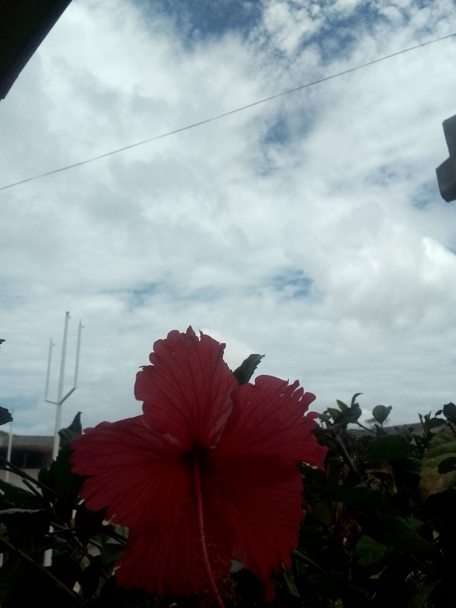 The image prominently features a vibrant red hibiscus flower in the lower-center foreground, viewed from a low angle. Its large petals are spread open, revealing details of its texture, while dark green foliage surrounds it. The upper two-thirds of the frame are dominated by an overcast sky, characterized by expansive white and gray clouds with visible patches of lighter blue. A thin, dark line, likely a power or telephone wire, stretches horizontally across the middle of the sky.
In the mid-left background, a set of tall, slender white structures, possibly goalposts or a similar architectural feature, rise against the sky. A dark, indistinct, angular object is partially visible in the upper-right corner, and another dark, curved element is seen in the upper-left corner, suggesting the photograph was taken from beneath an overhang or a structure.
The scene depicts a bright, natural setting during daytime, with diffused light due to the clouds, but with enough blue sky to indicate it's not a heavily stormy day. There is no specific activity or event taking place, presenting a tranquil, static view of nature and some human-made structures. No visible text is present in the image. The tropical flower and sunny yet cloudy sky align with the location context of Juan Griego, Venezuela.