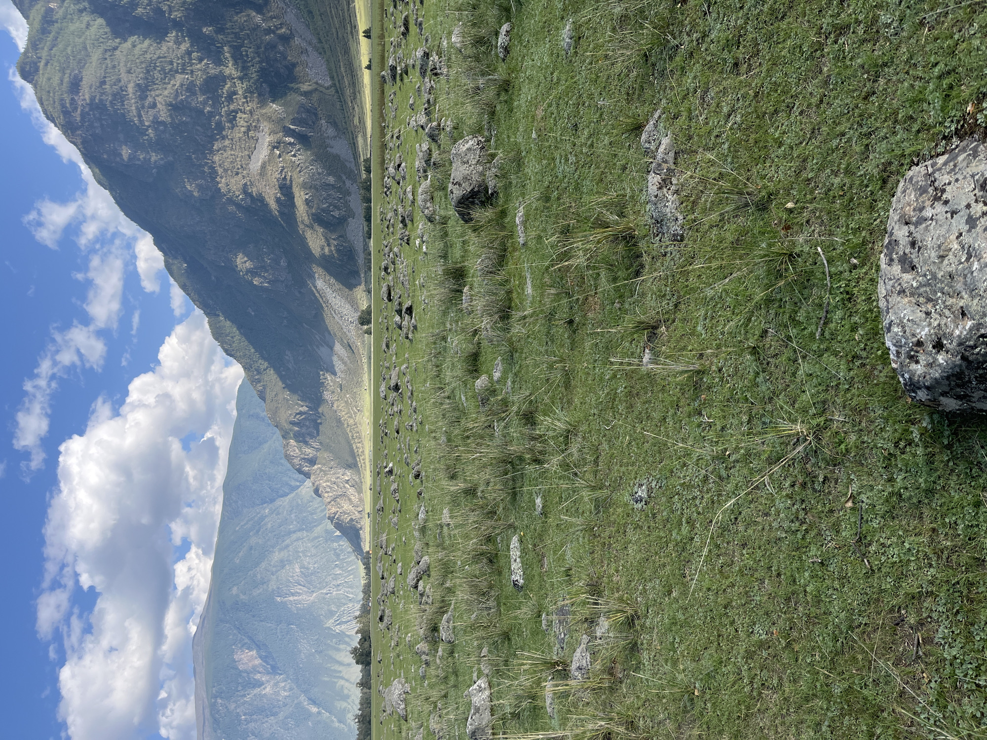 The image depicts a wide, grassy field dotted with numerous large, gray stones. Tall green grass and some dry stalks are prominent throughout the field. In the background, imposing, rocky mountains rise up, their slopes covered in sparse vegetation and shaded in parts. The sky above is a vibrant blue, with fluffy white clouds scattered across it. The lighting suggests it is daytime, with the sun casting shadows that highlight the textures of the mountains and the uneven terrain of the field. The scene appears to be a natural landscape, likely a mountainous or high-altitude region. Given the location specified, the image likely captures a view within or near Koo, Russia, a region known for its mountainous terrain and natural beauty.