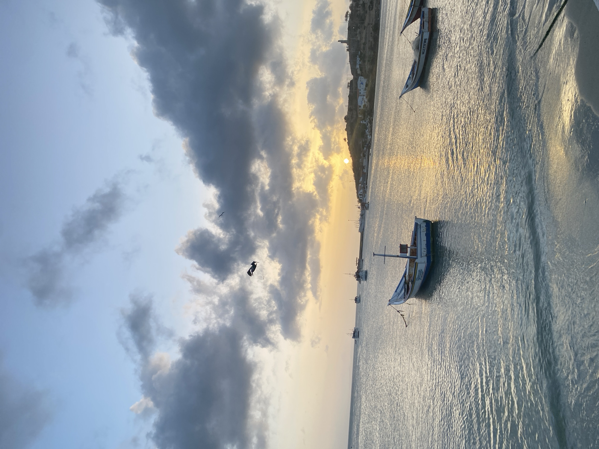 The image depicts a sunset scene in Juan Griego, Venezuela. The sun is setting behind a line of buildings on a hillside, obscured by clouds. There are several boats in the water, and birds flying in the sky. The water is reflecting the sunlight.