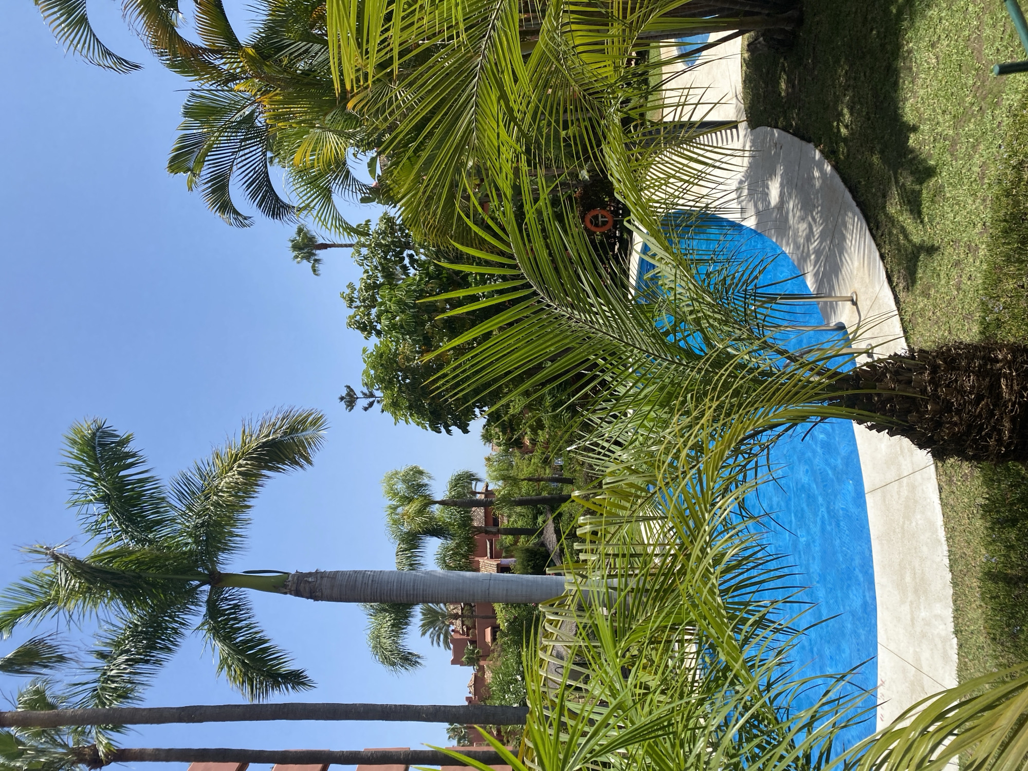 The image depicts an outdoor scene with a swimming pool surrounded by lush vegetation and palm trees. The swimming pool is a vibrant blue and has a curved white edge. There is a life preserver ring with an orange hue hanging on a railing near the pool. In the background, several buildings with red-tiled roofs are visible, interspersed with greenery. The sky is clear and blue, suggesting a sunny day. The location is identified as Resinera-voladilla, Spain. The focus of the image is on the natural elements and recreational facilities, creating a tropical and relaxing atmosphere. No people are present in the frame.