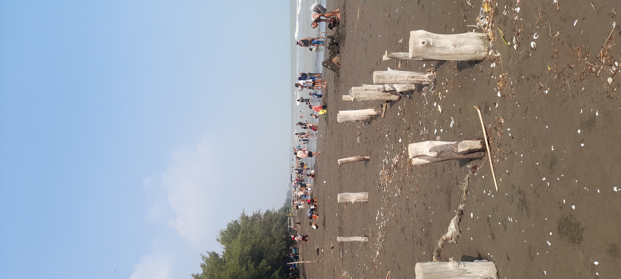 The image depicts a busy beach scene in Nyamplung Sari, Indonesia. The foreground is dominated by a dark, sandy shore with scattered debris, including driftwood posts, shells, and various small pieces of trash. Several weathered wooden posts, remnants of a pier or barrier, are partially submerged in the sand, creating a textured foreground.
In the mid-ground and background, a multitude of people are engaged in various beach activities. Many are in the shallow water, playing, wading, or simply enjoying the sea. Others are on the sand, some appear to be digging or building sandcastles, while others are socializing or observing the surroundings. The crowd is diverse, with individuals of different ages and genders.
To the left of the frame, a dense line of trees forms a natural backdrop to the beach, with a few structures or boats visible amongst them. The sea stretches out towards the horizon, with gentle waves lapping at the shore. The sky is a clear, pale blue, with a few wispy clouds visible. The overall atmosphere is one of a vibrant, public recreational area.