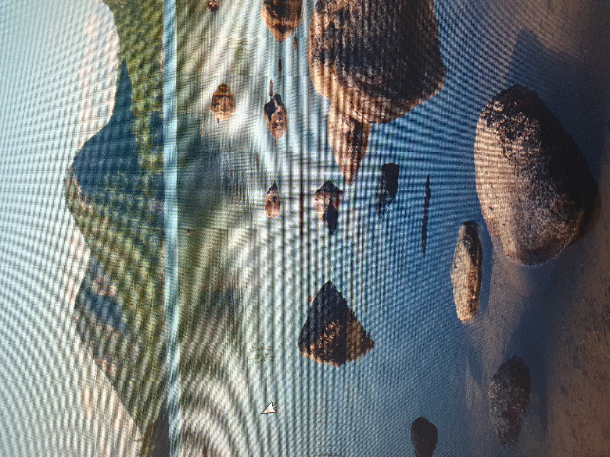 The image depicts a serene natural landscape featuring a calm lake with scattered rocks in the foreground and middle ground, leading to a tree-covered mountainside under a clear sky in the background. The water reflects the surrounding environment, creating a sense of depth and tranquility. There are no people visible in the image. The scene appears to be a natural body of water, possibly a lake, situated amidst forested hills. The location in Tashkent, Uzbekistan is not discernible from the visual information provided in the image.