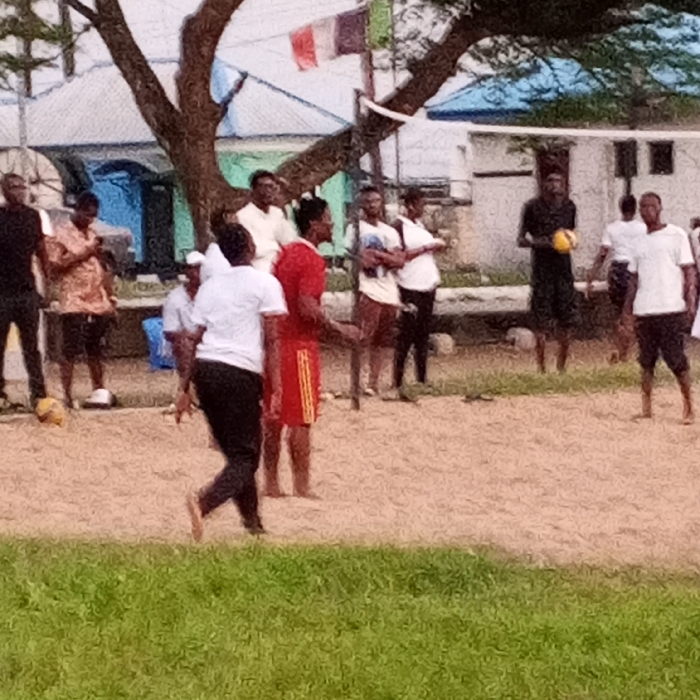 The image depicts an outdoor scene in Koko, Nigeria, showing approximately eleven individuals, primarily young adults, gathered on a dirt or sandy court. A volleyball net is positioned across the mid-ground, indicating a recreational game or practice. A strip of green grass occupies the immediate foreground.
Individuals are distributed across the court in casual attire. In the central foreground, a person in a white t-shirt and dark pants, barefoot, walks towards the right, back mostly to the viewer. Adjacent to them, another person wears a red and yellow striped sports jersey. On the far right, an individual in dark clothing holds a yellow volleyball. Another yellow ball is visible on the ground near the left side of the court. Other individuals in t-shirts and shorts stand or observe; one person on the left is focused on a mobile phone.
The background features several structures, including a building with a blue roof and light-colored walls, partially obscured by a large, leafy tree. A red, white, and blue flag, consistent with the French national flag, is visible flying from a pole above the background buildings.