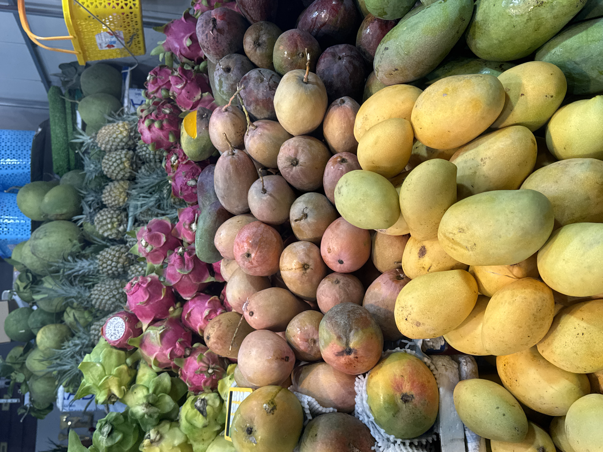 A close-up, high-angle shot depicts a vibrant display of various fruits. From left to right, there are green fruits (possibly jackfruit), pineapples, dragon fruit, followed by a range of mangoes varying in color from dark purple to light yellow. The fruits are densely packed together, creating a visually appealing display. The background and location details are not discernible from the image.
