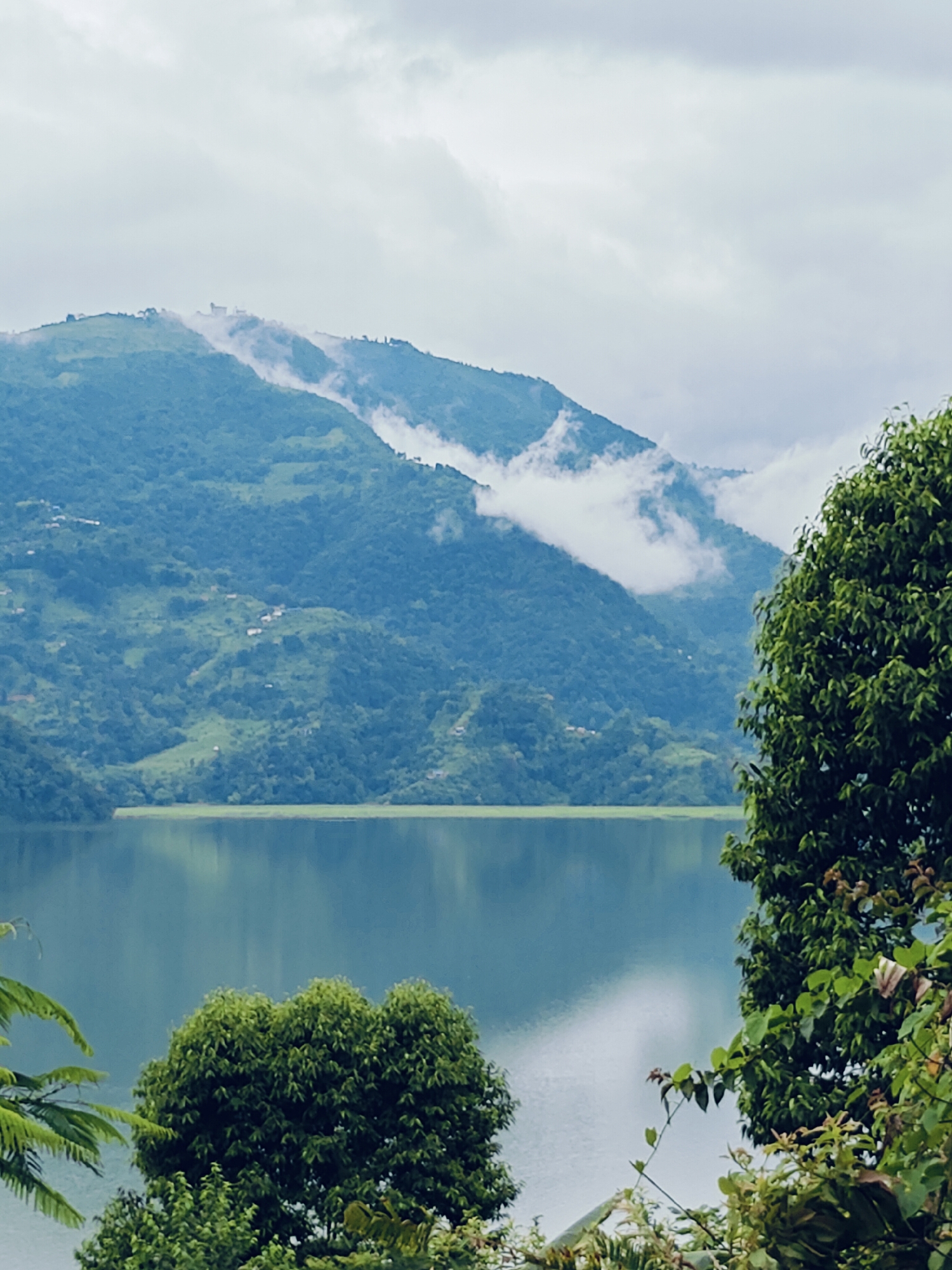 The image depicts a serene landscape of a lake with mountains in the background, characteristic of Pokhara, Nepal. In the foreground, lush green trees frame the scene, with foliage obscuring parts of the lower frame. A calm lake, reflecting the overcast sky and surrounding greenery, occupies the central and lower portions of the image. The mountains, covered in dense vegetation, rise majestically behind the lake, with wisps of clouds or mist clinging to their slopes and peaks. A few scattered structures, likely houses or small buildings, are visible on the mountainsides, suggesting a settled rural or semi-rural area. The overall atmosphere is tranquil and natural, indicative of a picturesque view in the Pokhara Valley. There are no people or animals visible in the image, and no actions or interactions are occurring.