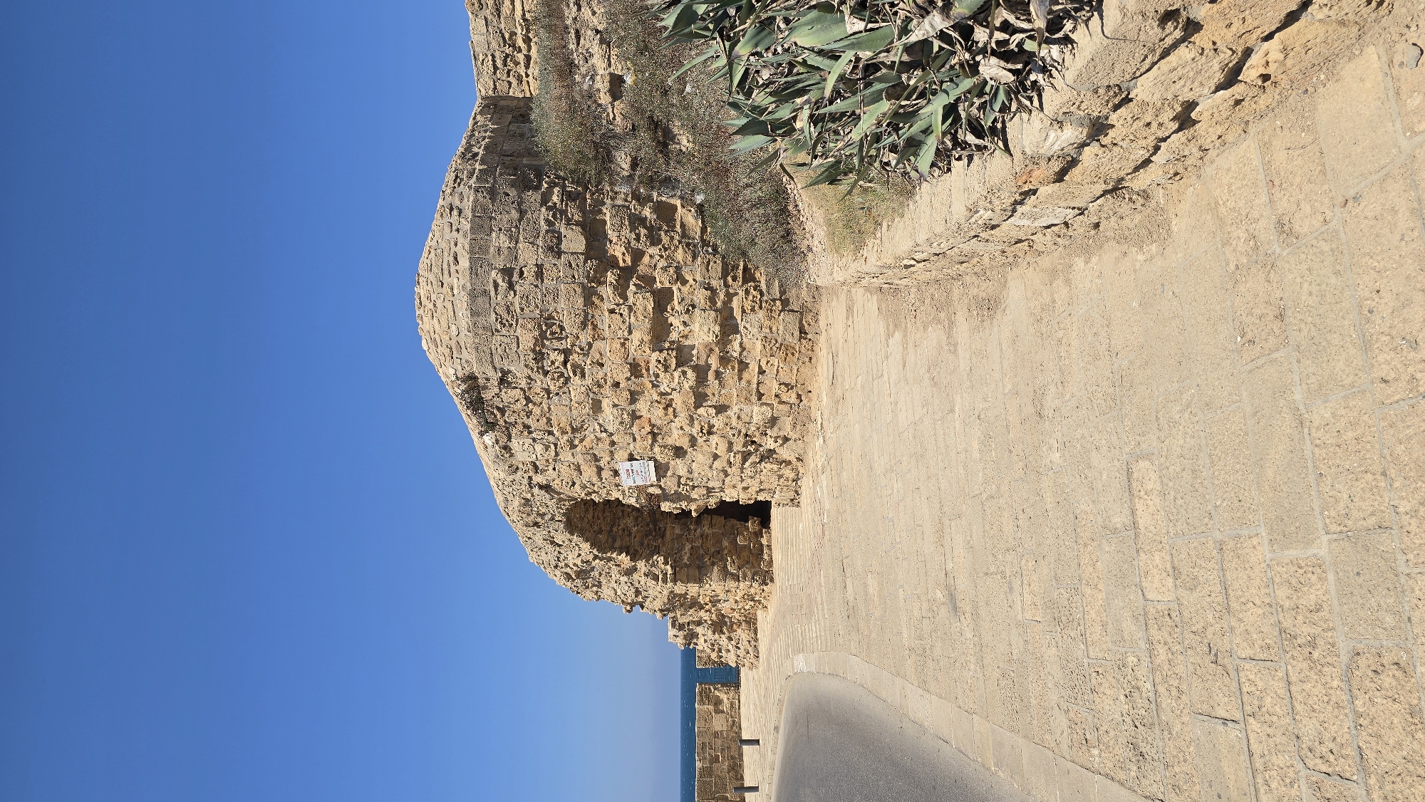 The image depicts a section of the ancient city walls in Acre, Israel, under a clear blue sky. A paved walkway, constructed from large, rectangular stone slabs, curves along the edge of the wall. To the left of the walkway, a road with a gray asphalt surface is visible. The wall itself is made of rough-hewn, light-brown stones, forming a rounded structure with an arched opening. A sign with some writing in Hebrew is affixed to the wall near the archway. On the right side of the walkway, a low stone wall borders a patch of dry vegetation and spiky, green plants, possibly agave, growing against the ancient fortifications. The sea can be seen in the distance to the left. The scene is illuminated by bright sunlight, casting shadows and highlighting the texture of the stone.
