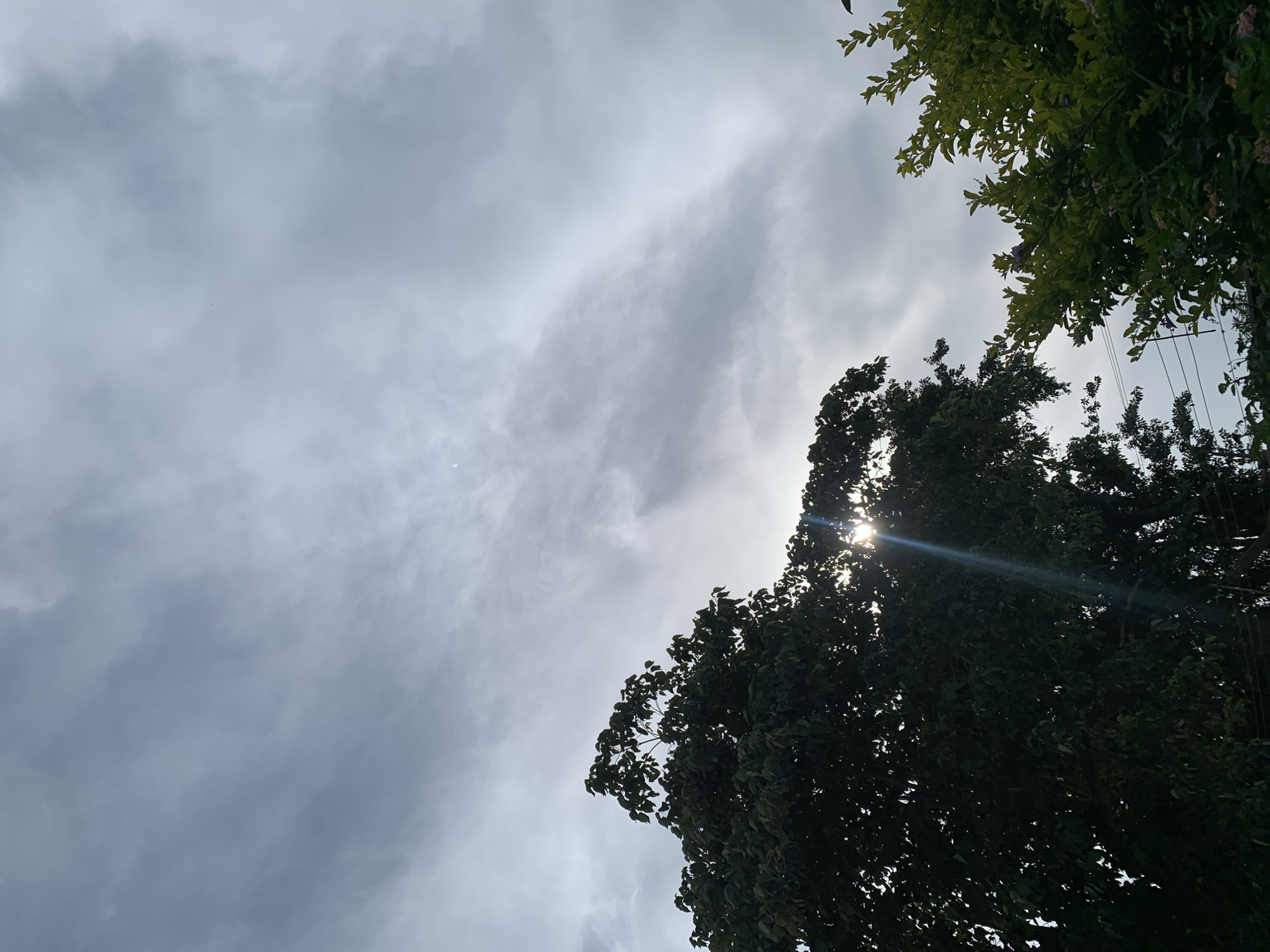 A photograph captures the sky above Kuru Karama, Nigeria, with the sun peeking through a dense canopy of dark green trees on the left and lighter green foliage on the right. The sky is overcast with streaks of gray clouds, allowing a bright sunbeam to cut through the leaves of the tree on the left. The sun itself is partially obscured by the foliage, creating a lens flare effect. Power lines are visible running horizontally across the lower part of the image, partially hidden by the trees. The overall impression is one of a cloudy day with dappled sunlight filtering through the trees.