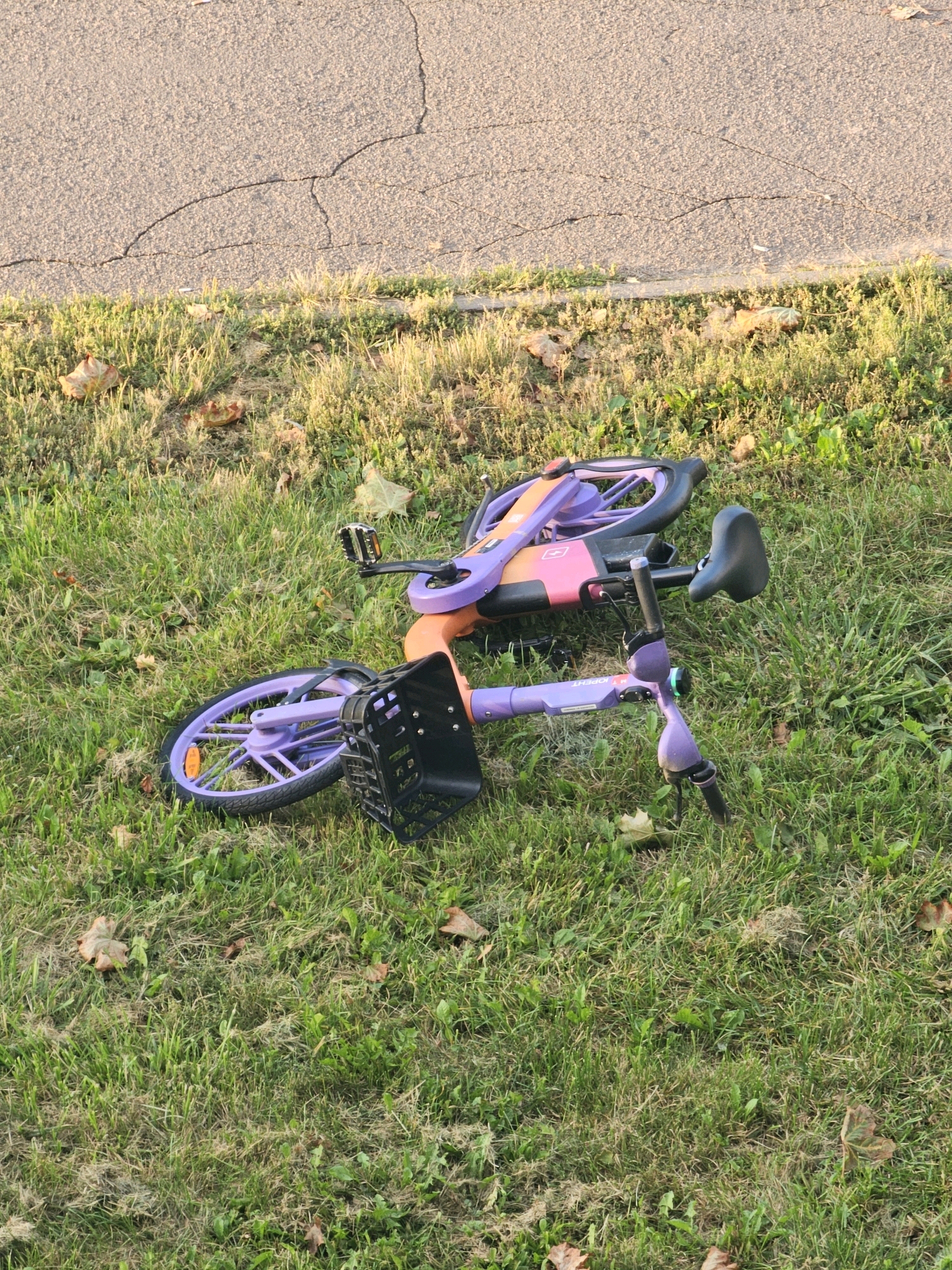 A purple and orange bicycle lies on its side on a grassy area next to a cracked asphalt road. The bicycle has a black basket attached to the front. There are several fallen leaves scattered on the grass. The scene appears to be outdoors during daylight.
