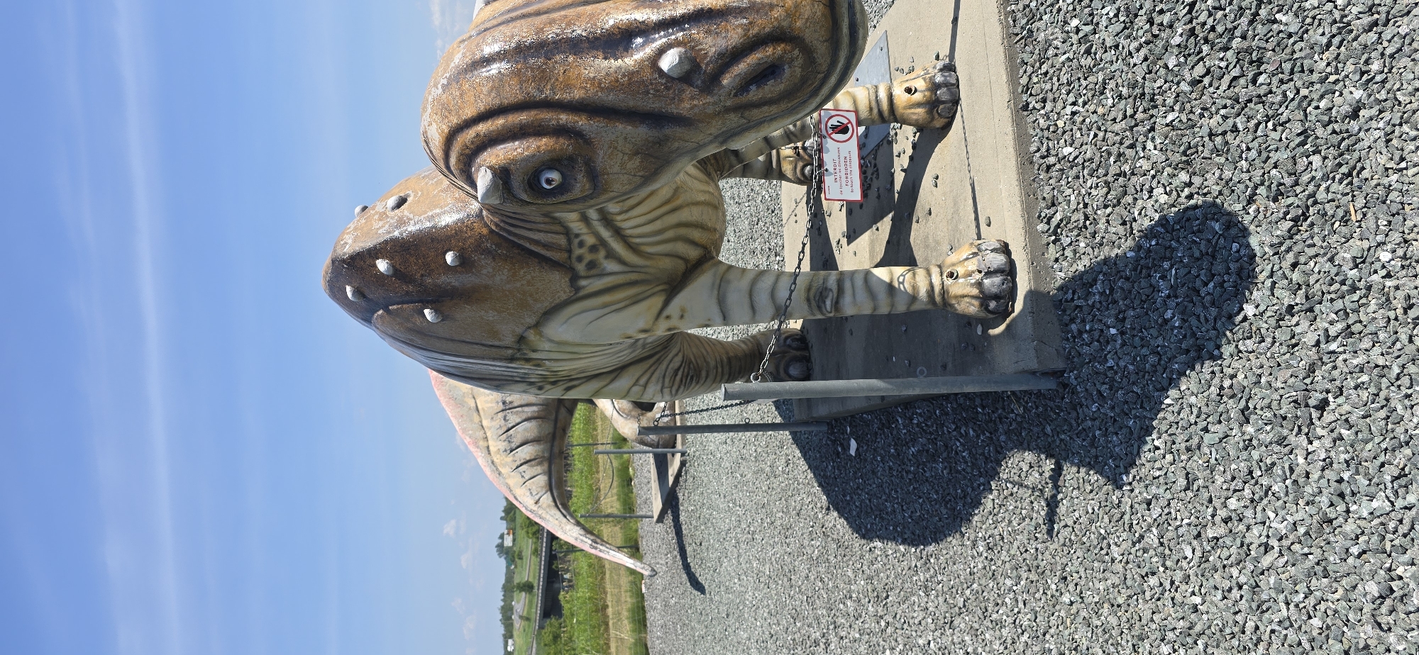 A life-sized statue of a Parasaurolophus dinosaur is situated outdoors in Saint-Léonard-d'Aston, Quebec, Canada. The dinosaur statue is a tan and brown color, with white dots on its back and head. It is standing on a concrete base, surrounded by gravel. A chain fence encloses the statue. A red sign with a hand symbol and text is attached to the fence in front of the dinosaur. In the background, a highway overpass is visible, with trees and fields stretching into the distance under a clear blue sky. The sun casts a long shadow of the dinosaur onto the gravel.