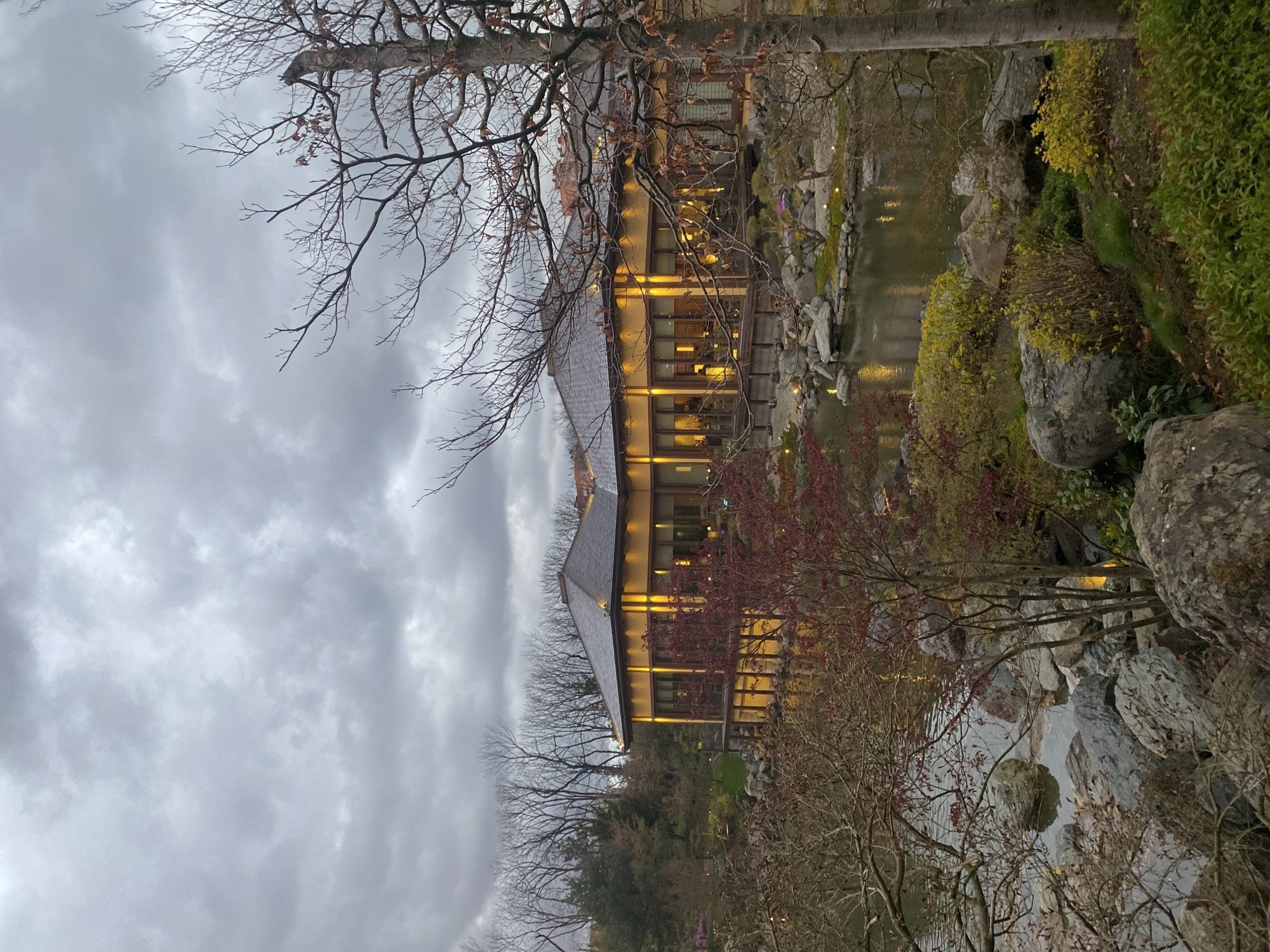 The image depicts a building with illuminated windows, situated next to a body of water. Trees with bare branches and some with sparse foliage surround the building and waterfront. Rocks are present along the edge of the water. The sky is overcast with gray clouds. It is not possible to verify from the image alone if the location is in the city of Krasnodar, Russia.